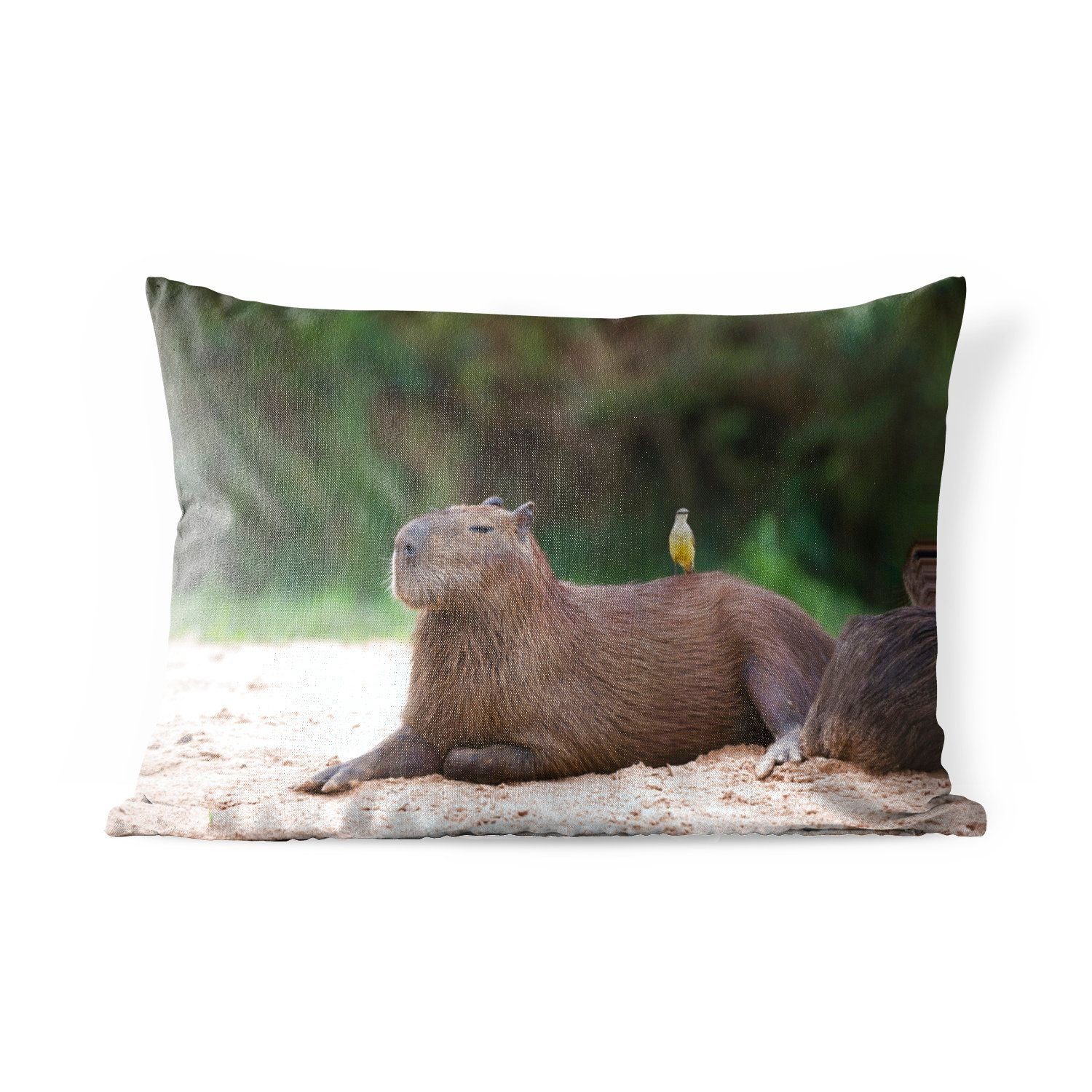MuchoWow Dekokissen Ein Capybara mit einem kleinen Vogel darauf, Outdoor-Dekorationskissen, Polyester, Dekokissenbezug, Kissenhülle