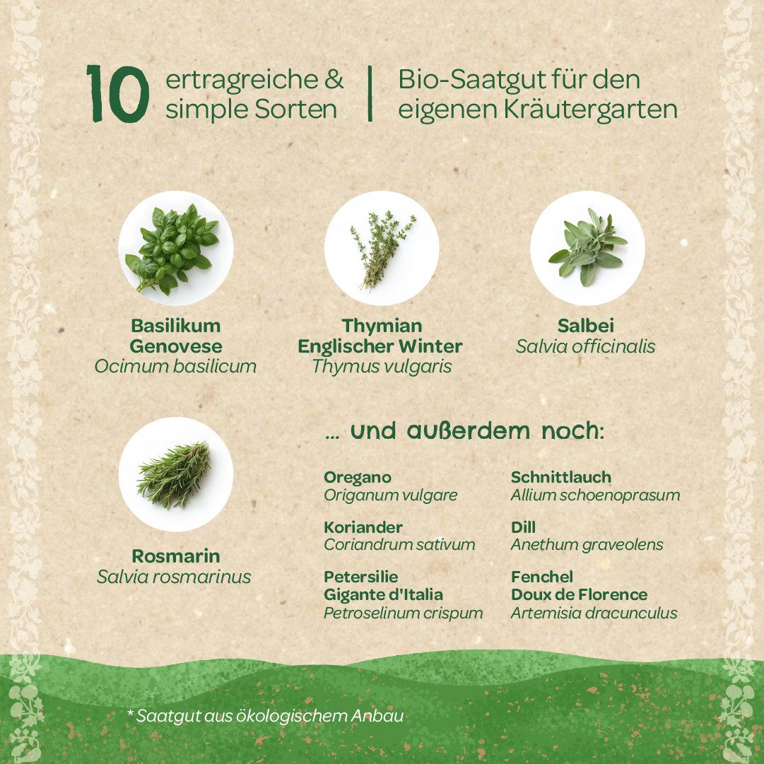 Die Stadtgärtner Kräutersamen Saatgut-Set Küchenkräuter mit 10 BIO-Sorten, Tolles Garten-Geschenk, Samenfest, Ohne Gentechnik, Laborgeprüfte Keimrate