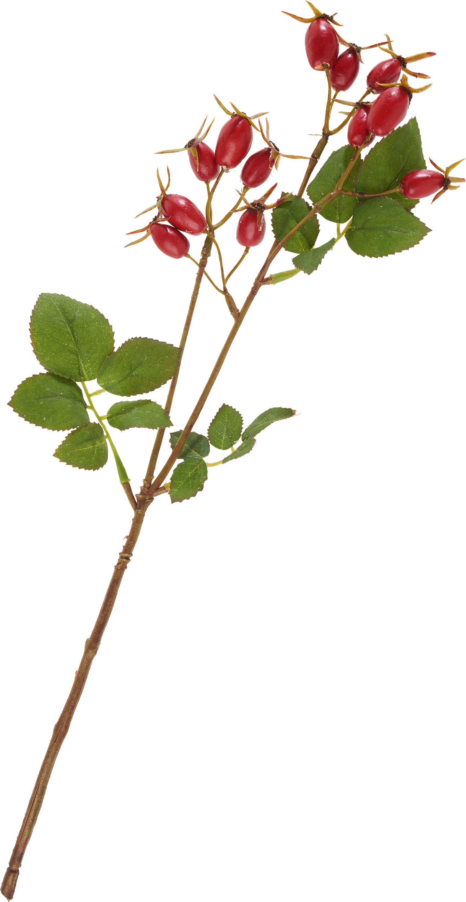 Kunstzweig Hagebuttenzweig, DPI, 41cm günstig online kaufen