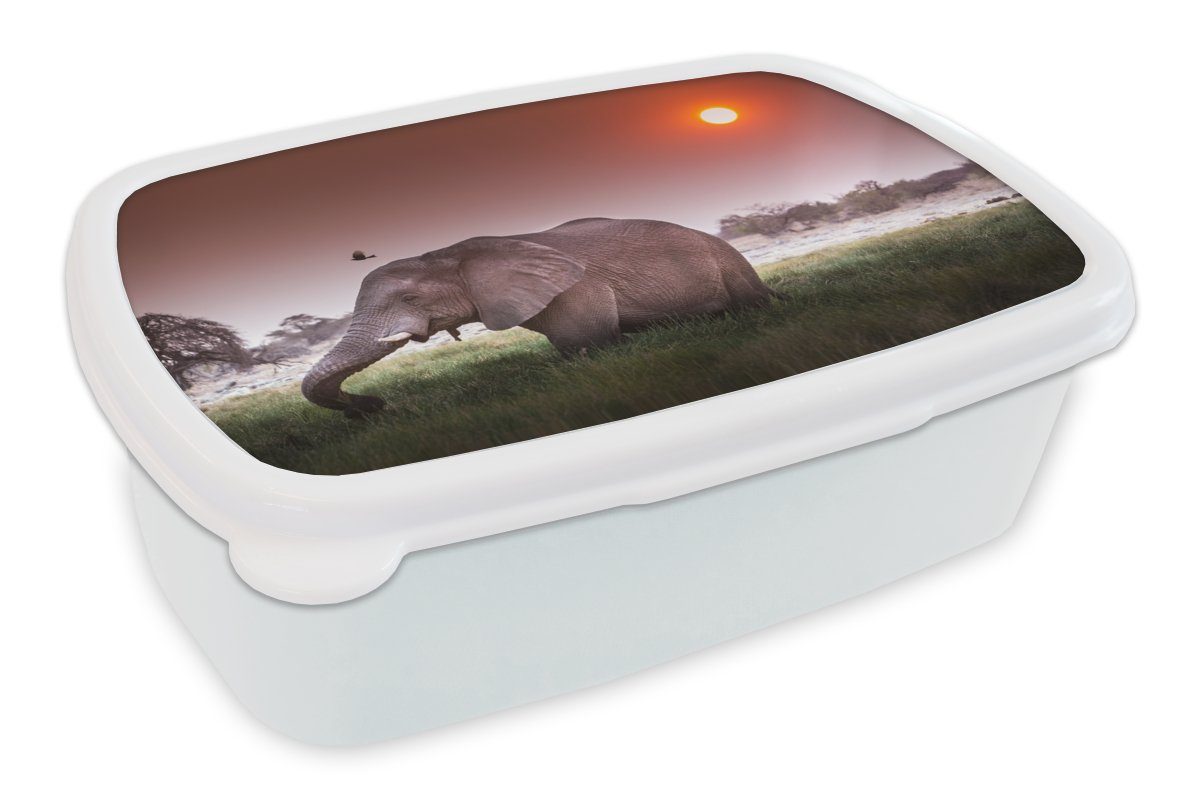 MuchoWow Lunchbox Elefant - und Mädchen Gras Kinder für weiß für Sonne Tiere, Erwachsene, Jungs (2-tlg), - Brotdose, Brotbox und - Kunststoff