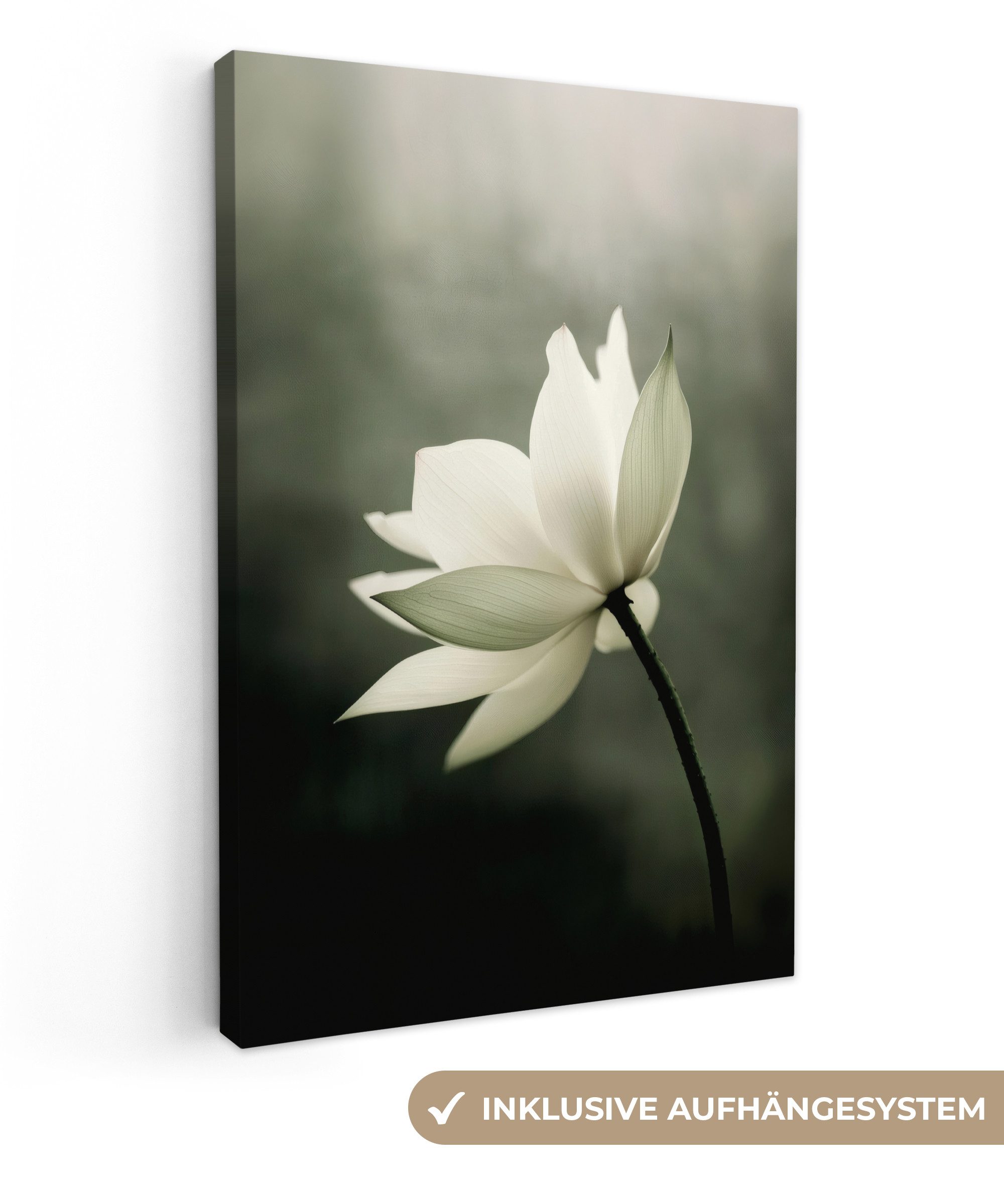 OneMillionCanvasses® Leinwandbild Weiß - Lotus - günstig online kaufen