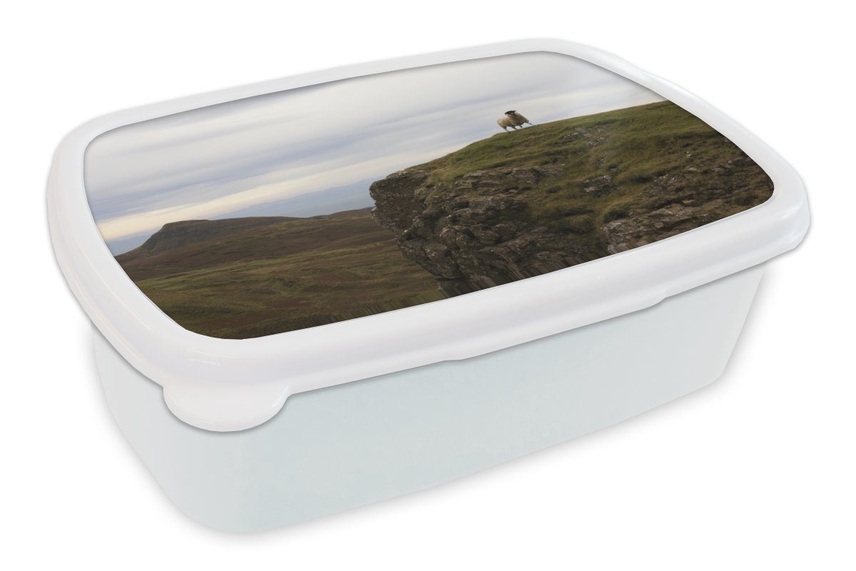 MuchoWow Lunchbox auf Jungs Skye, Mädchen Erwachsene, Kunststoff, für Kinder Brotbox und und (2-tlg), für weiß Schafe Brotdose