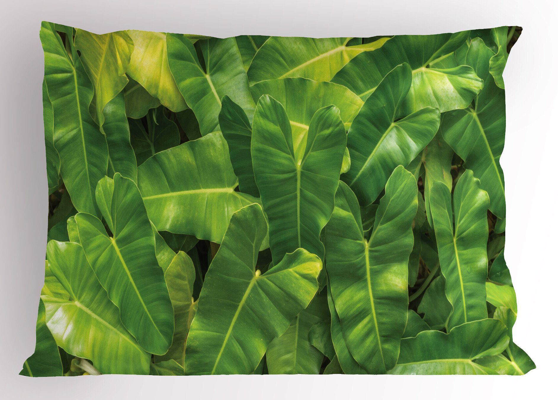 Kissenbezüge Stück), (1 Size Botanik Philodendron Abakuhaus Tropic Foto Kopfkissenbezug, Queen Gedruckter von Dekorativer