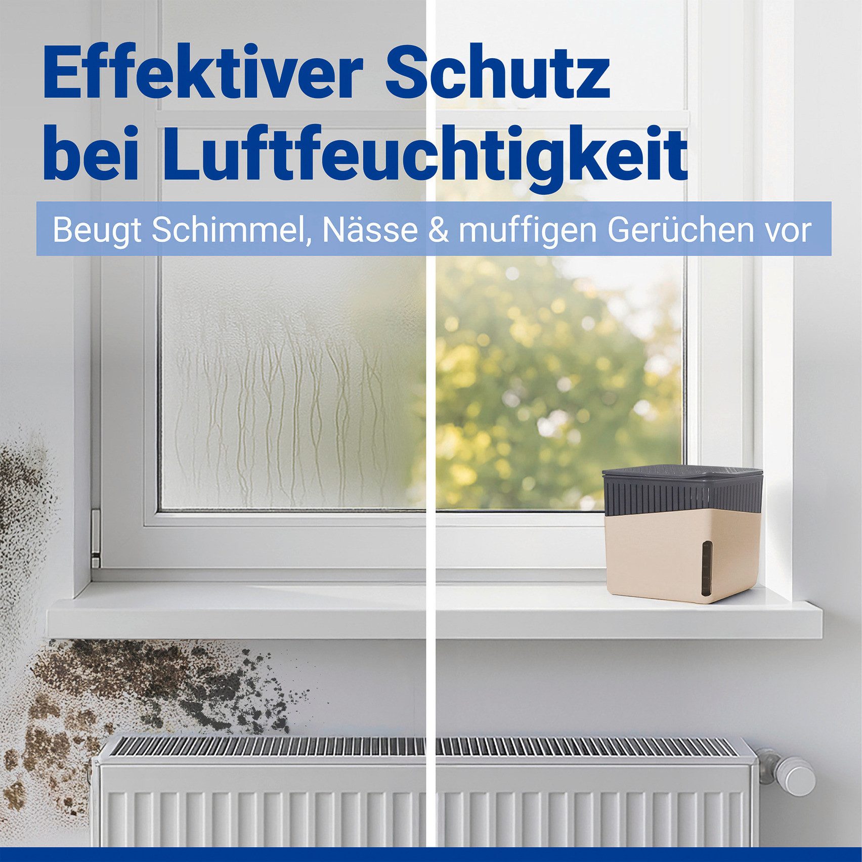 WENKO Luftentfeuchter Modell Cube, für 40 günstig online kaufen