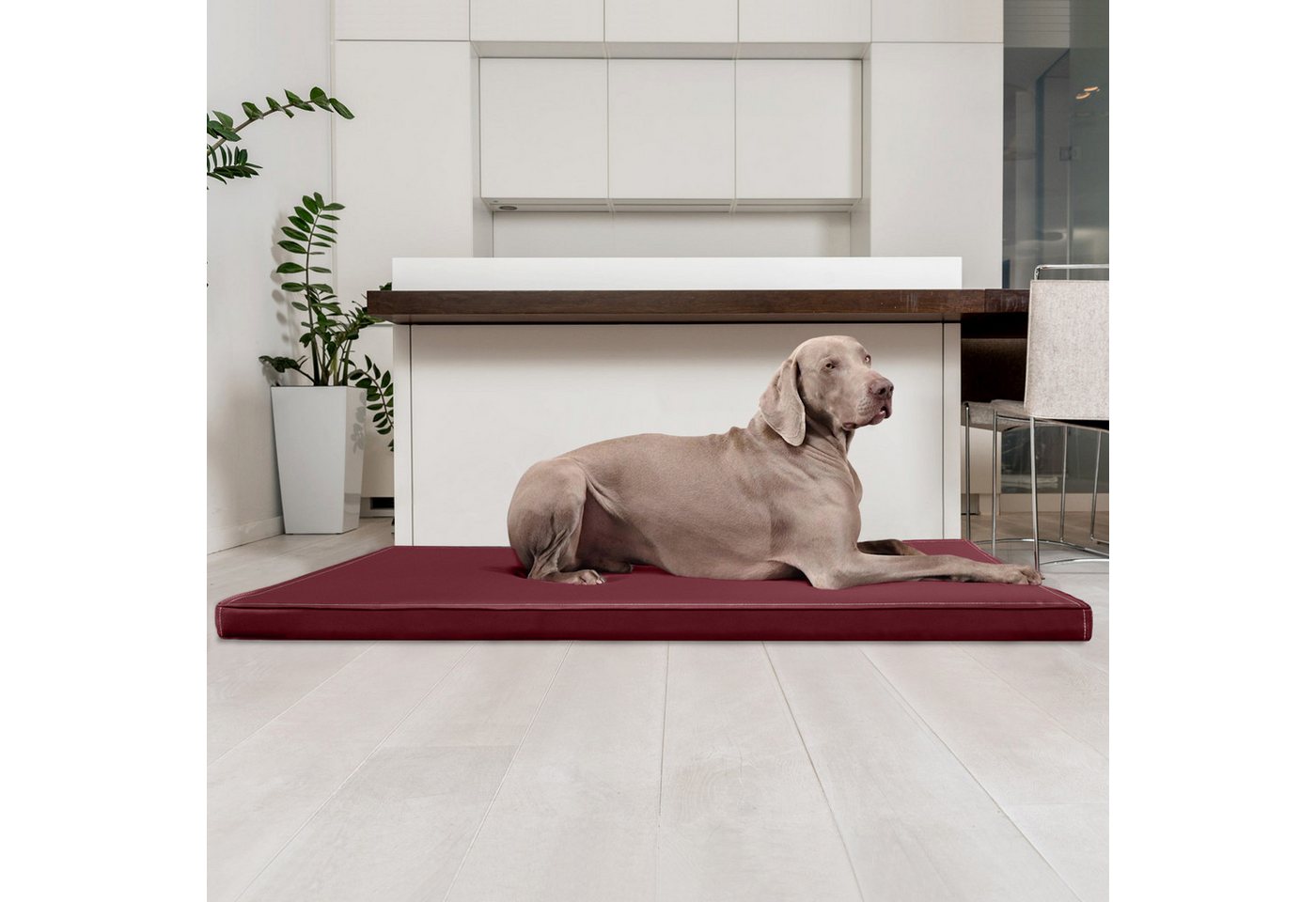Thumbnail - tierlando® Tierbett CARLOS Ortho-Medic Orthopädische Hundematte Kunstleder Visco, Abwischbar, Haar resistent, ergonomisc...