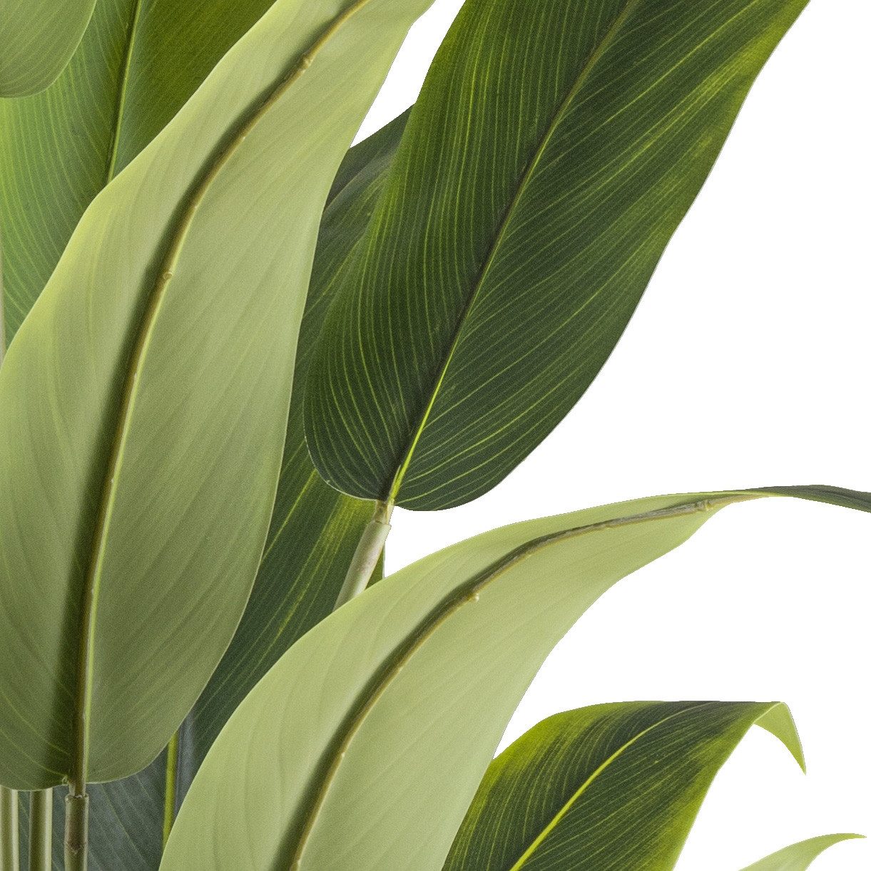 Kunstpflanze Strelitzia reginae, Creativ green, Höhe 120 cm, mit tollem Bla günstig online kaufen