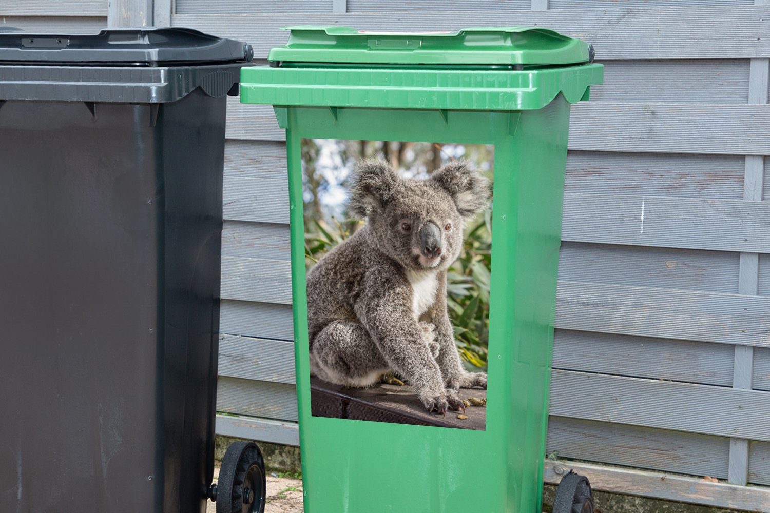 Regal Koala - St), - MuchoWow Pflanzen Mülleimer-aufkleber, Sticker, Wandsticker Mädchen Kinder - Jungen Abfalbehälter - Mülltonne, (1 - Container,