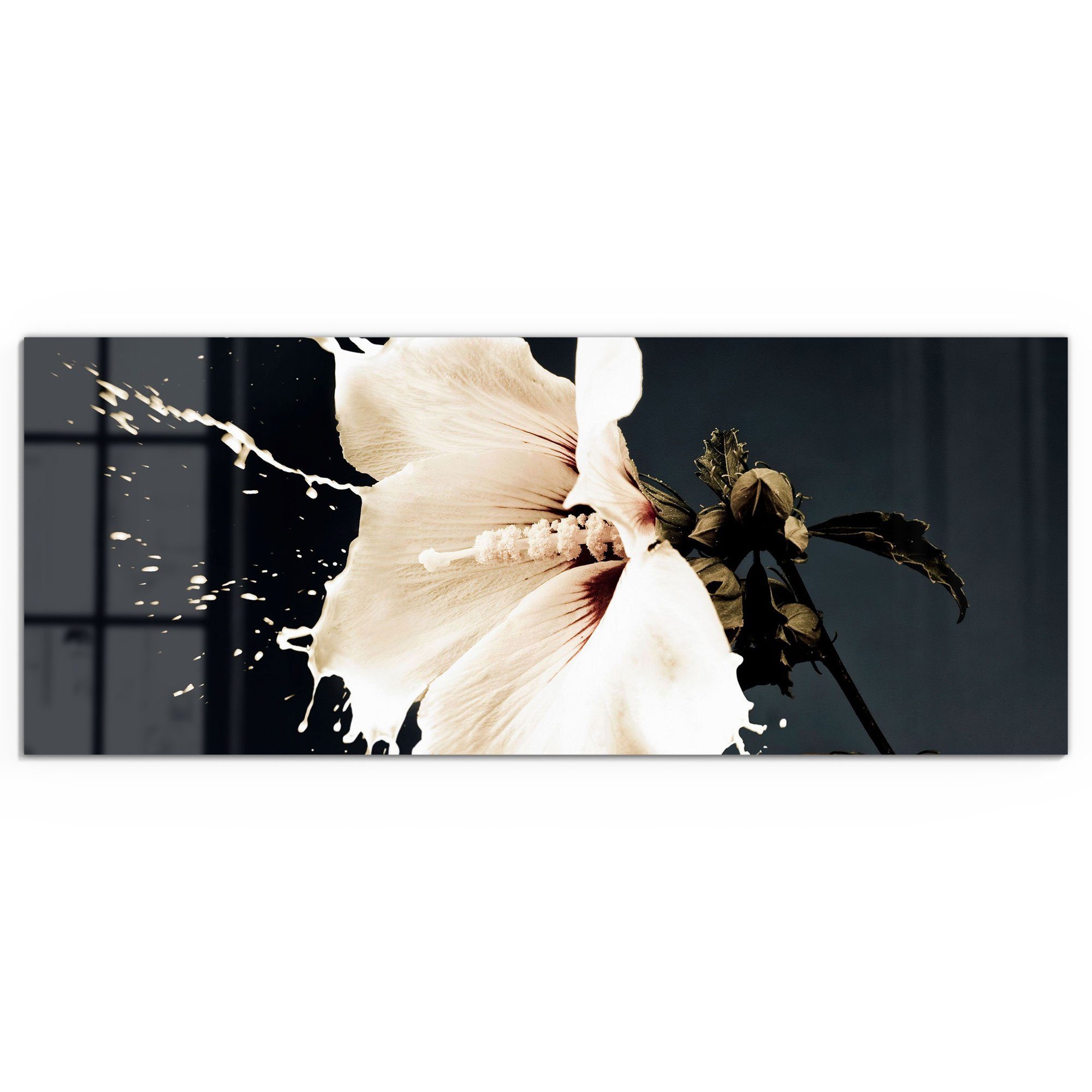 DEQORI Glasbild 'Milchige Blüte', 'Milchige Blüte', Glas Wandbild Bild schw günstig online kaufen