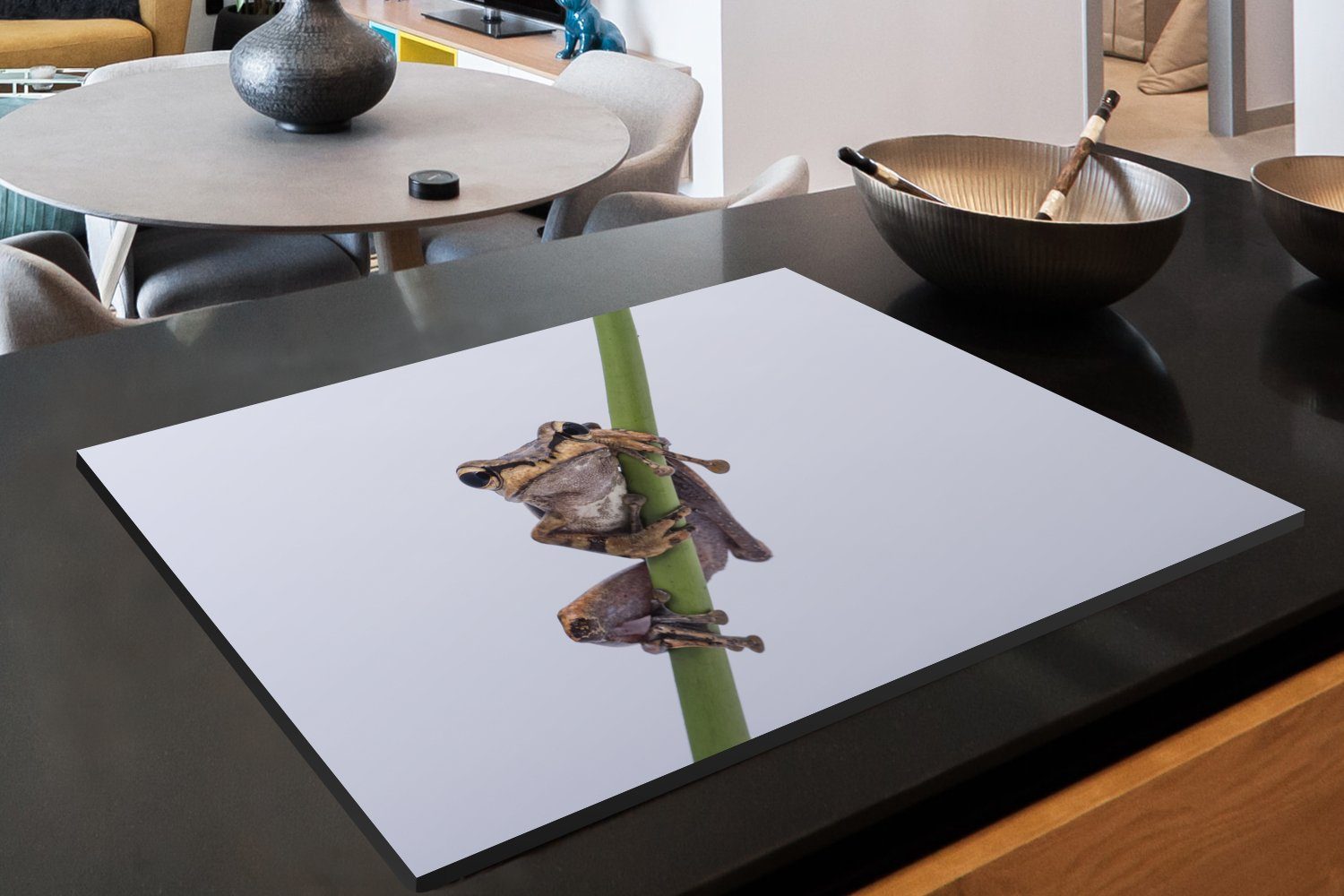 MuchoWow Herdblende-/Abdeckplatte Frosch - - 81x52 cm, küche, Vinyl, für tlg), die Zweig (1 Ceranfeldabdeckung Induktionskochfeld Schutz Grau