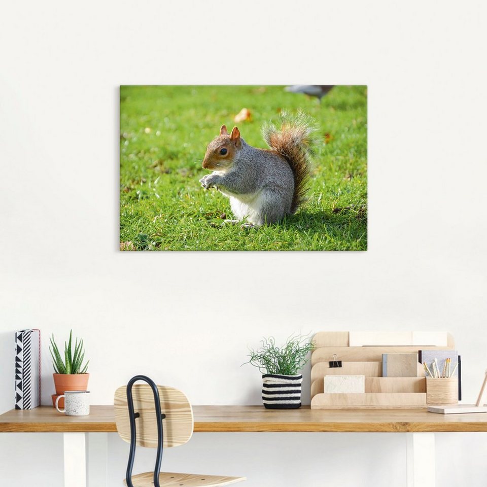 Artland Wandbild Graues Eichhörnchen, Wildtiere (1 St), als Alubild,  Leinwandbild, Wandaufkleber oder Poster in versch. Größen