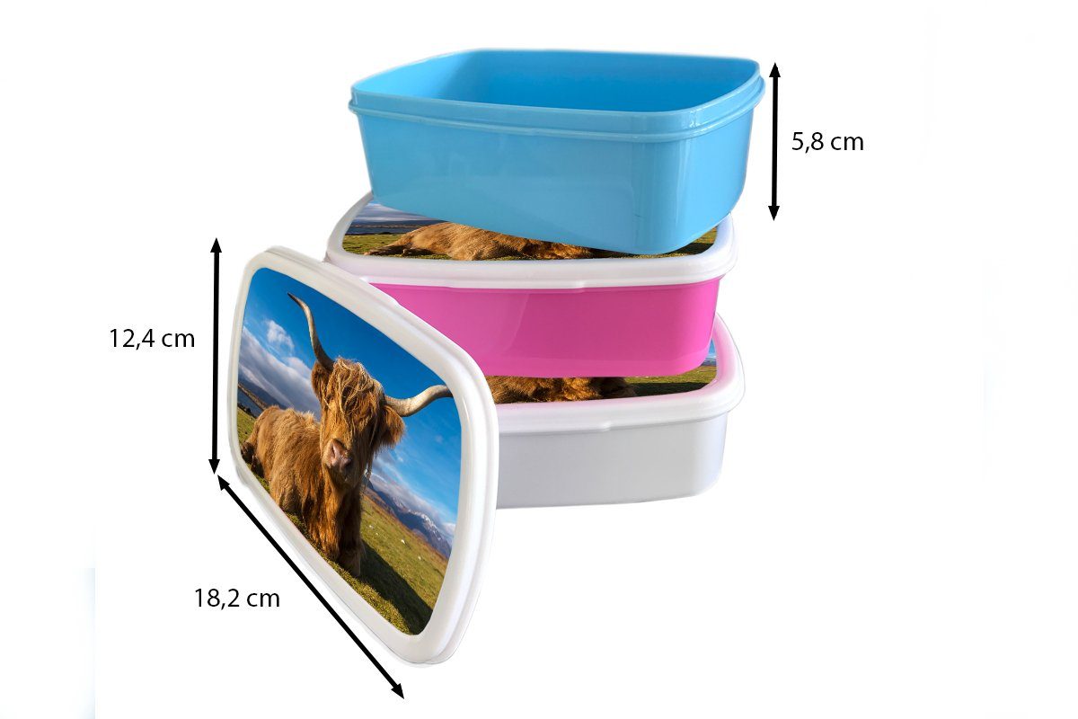 Highlander - Brotdose, weiß - MuchoWow Lunchbox Erwachsene, für (2-tlg), Kunststoff, Schottische Kinder und Gras, Mädchen Tiere für und Brotbox Jungs