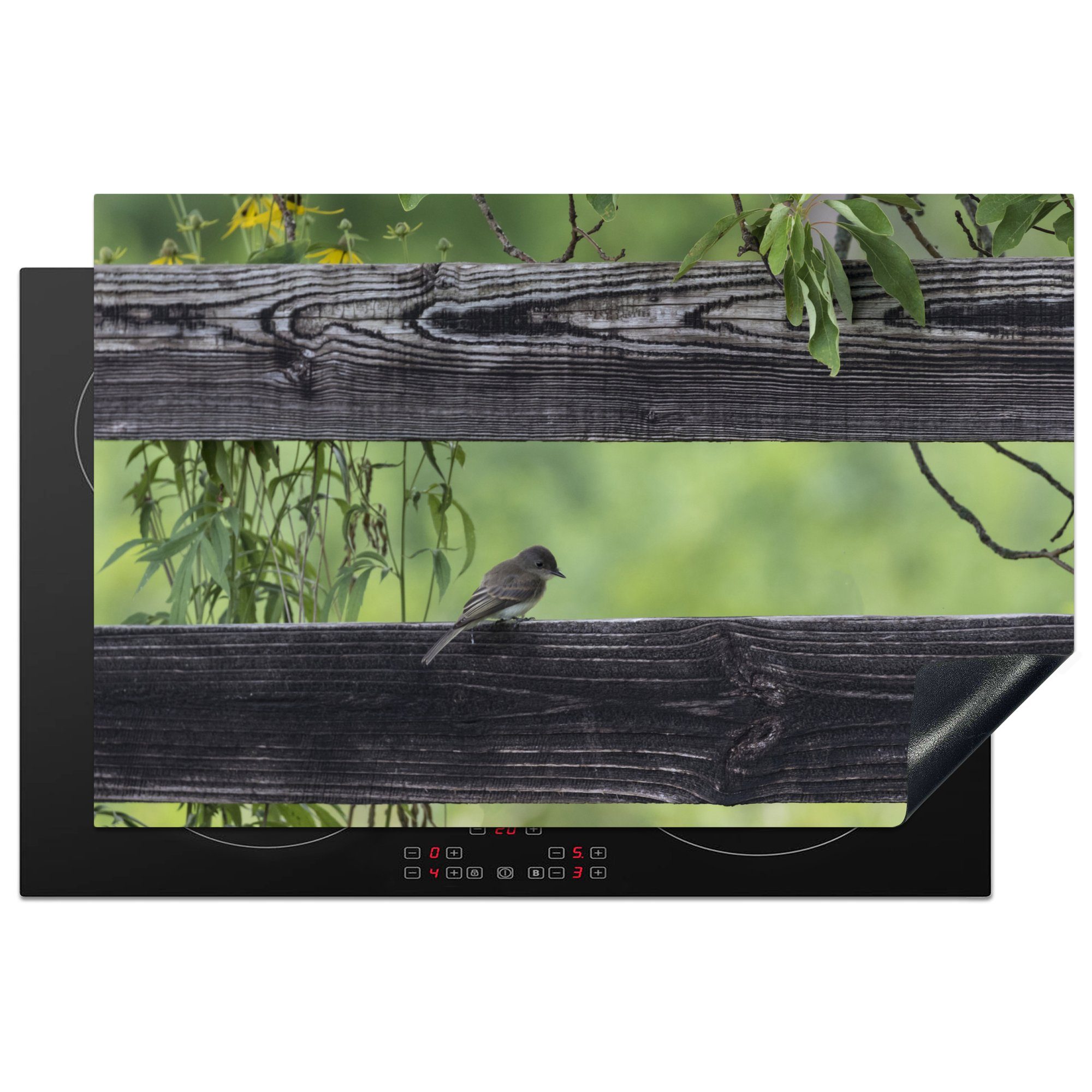 MuchoWow Herdblende-/Abdeckplatte Kleiner Vogel auf einem Holzzaun, Vinyl, (1 tlg), 81x52 cm, Induktionskochfeld Schutz für die küche, Ceranfeldabdeckung