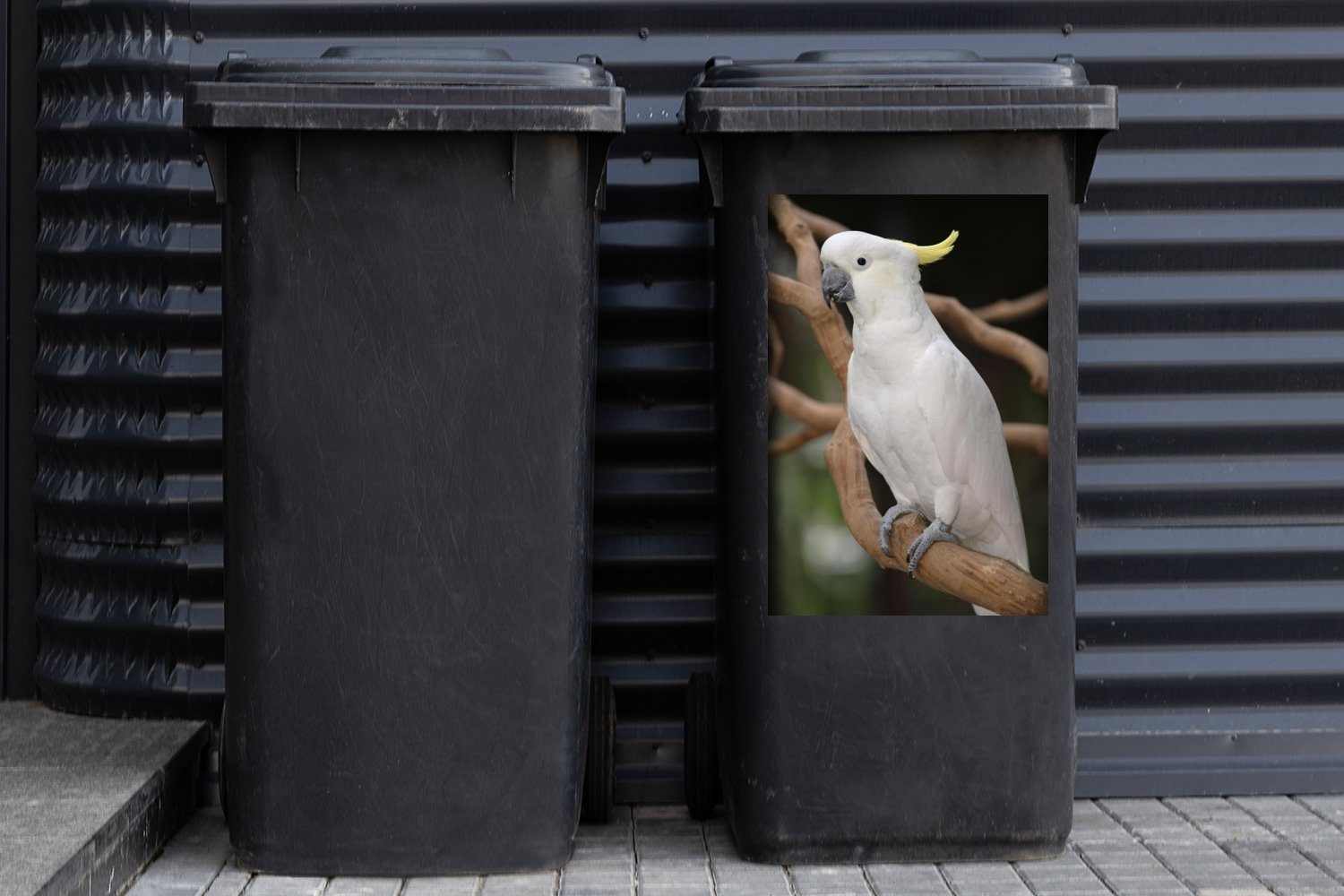 Baum Weißer gelbem Wandsticker einem mit Abfalbehälter Sticker, (1 Kamm Kakadu St), Mülleimer-aufkleber, MuchoWow Container, in Mülltonne,