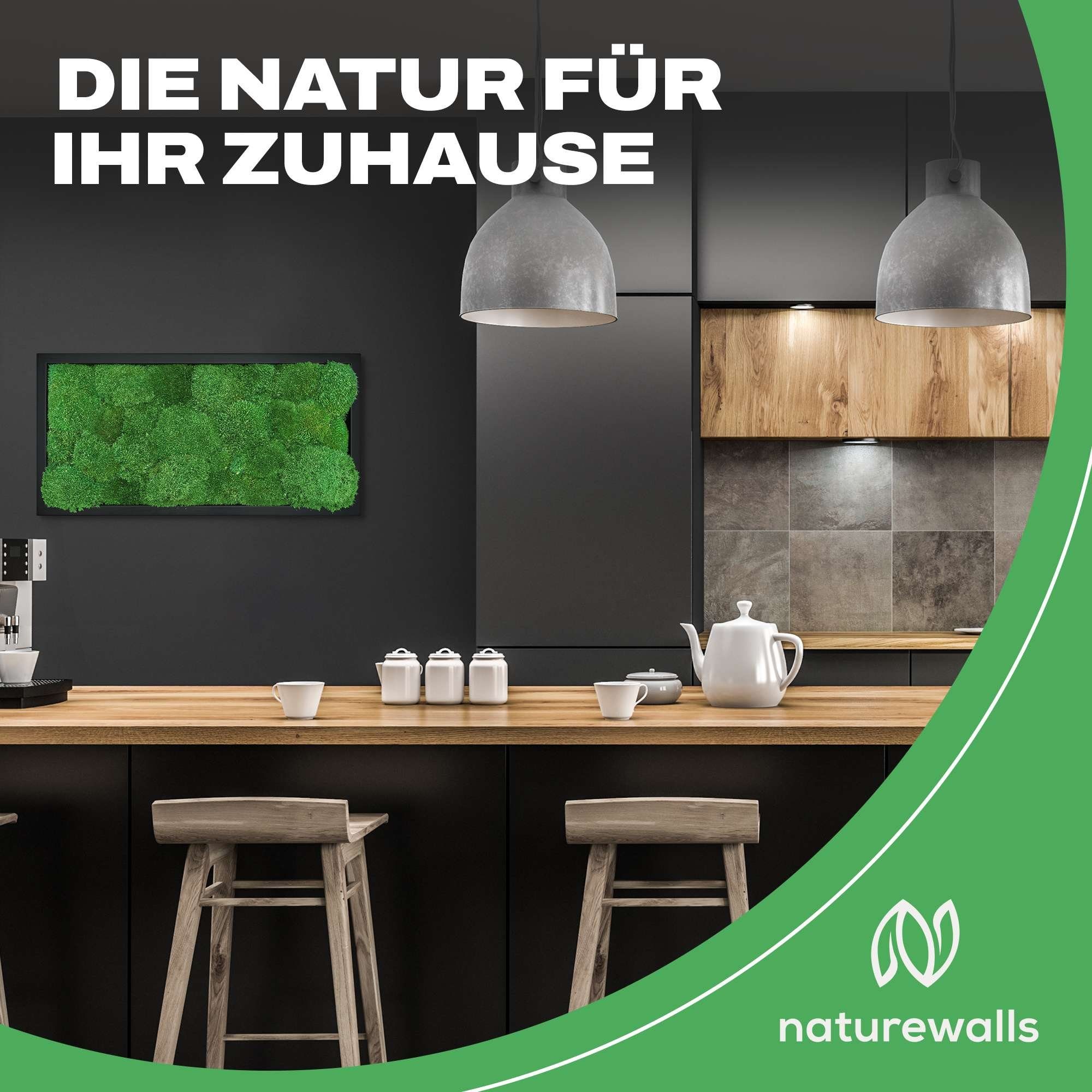 naturewalls Bild Moosbild Kugelmoos - Pflanzenbild günstig online kaufen