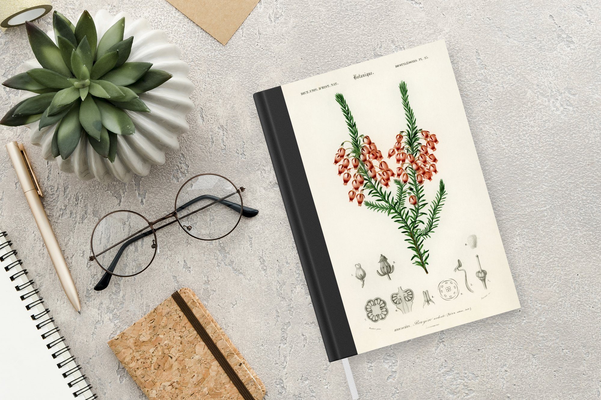 Tagebuch, Pflanze - MuchoWow Botanik, Merkzettel, - Blume Notizbuch Seiten, Haushaltsbuch A5, Notizheft, 98 Journal,