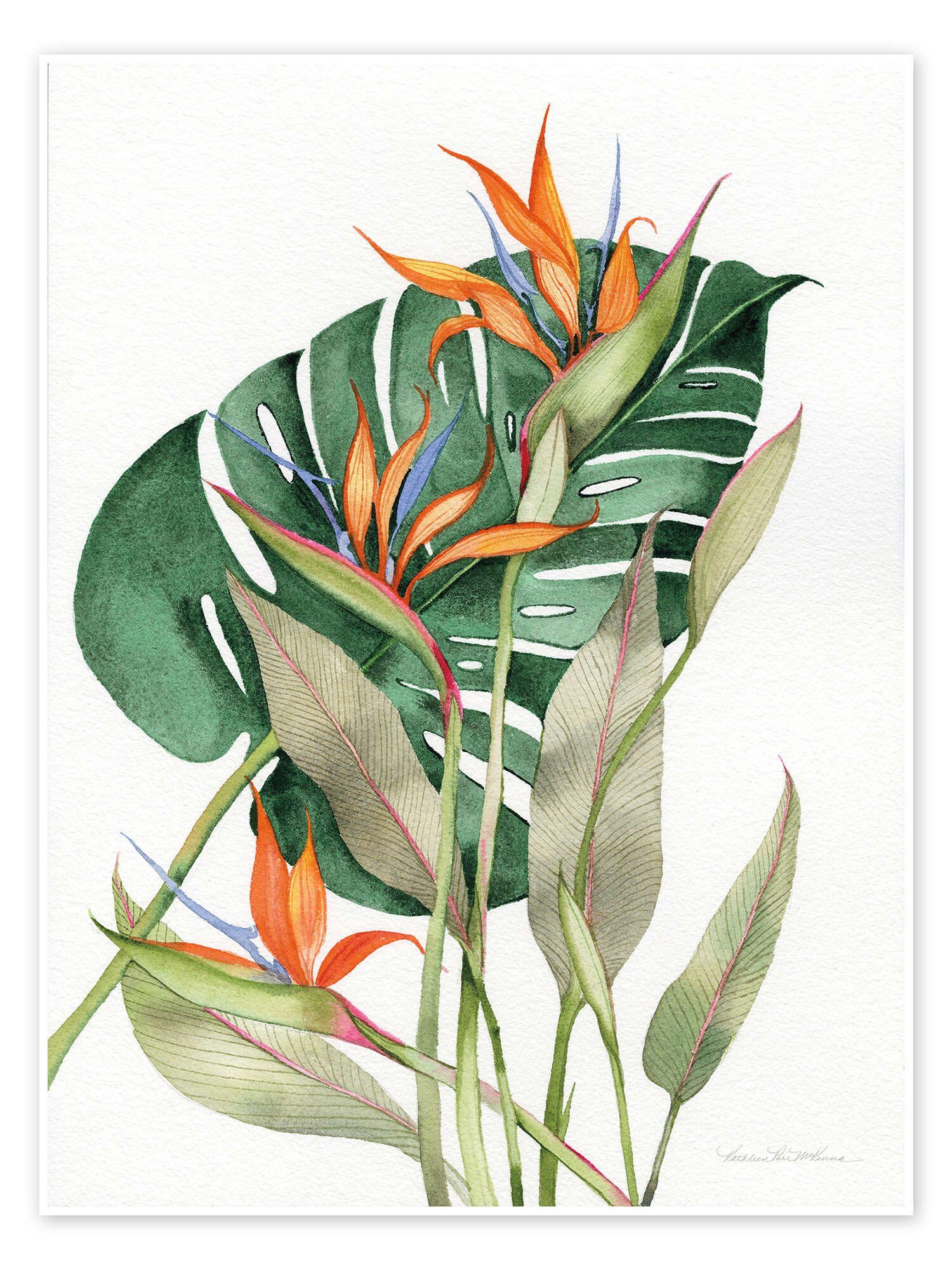 Posterlounge Wandbild Botanische Paradiesvögel, Kathleen Parr McKenna, erhältlich als Poster, Leinwandbild, Wandsticker oder Acrylglasbild