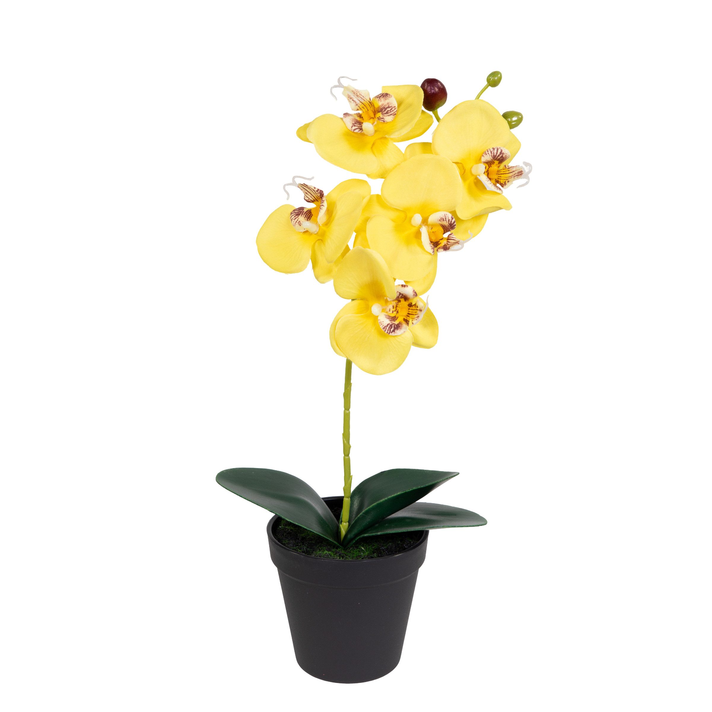 Kunstblume Künstliche Orchidee 38cm im Topf LA Phalaenopsis mit Textilblüten, Seidenblumen Roß, Höhe 38,00 cm, Farbe: Gelb
