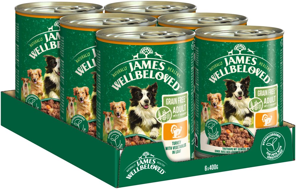 JAMES WELLBELOVED™ Hund Dose Getreidefrei Truthahn Pastete 6 x 400g