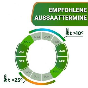 GreenEdge Rasendünger Rasenpellets (Regeneration) ummantelte Rasensamen, ca-10-qm, schnellkeimend, robust, mit Mikro-und Makronährstoffen