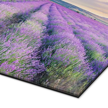 Posterlounge XXL-Wandbild Editors Choice, Lavendel im Sonnenuntergang, Mediterran Fotografie