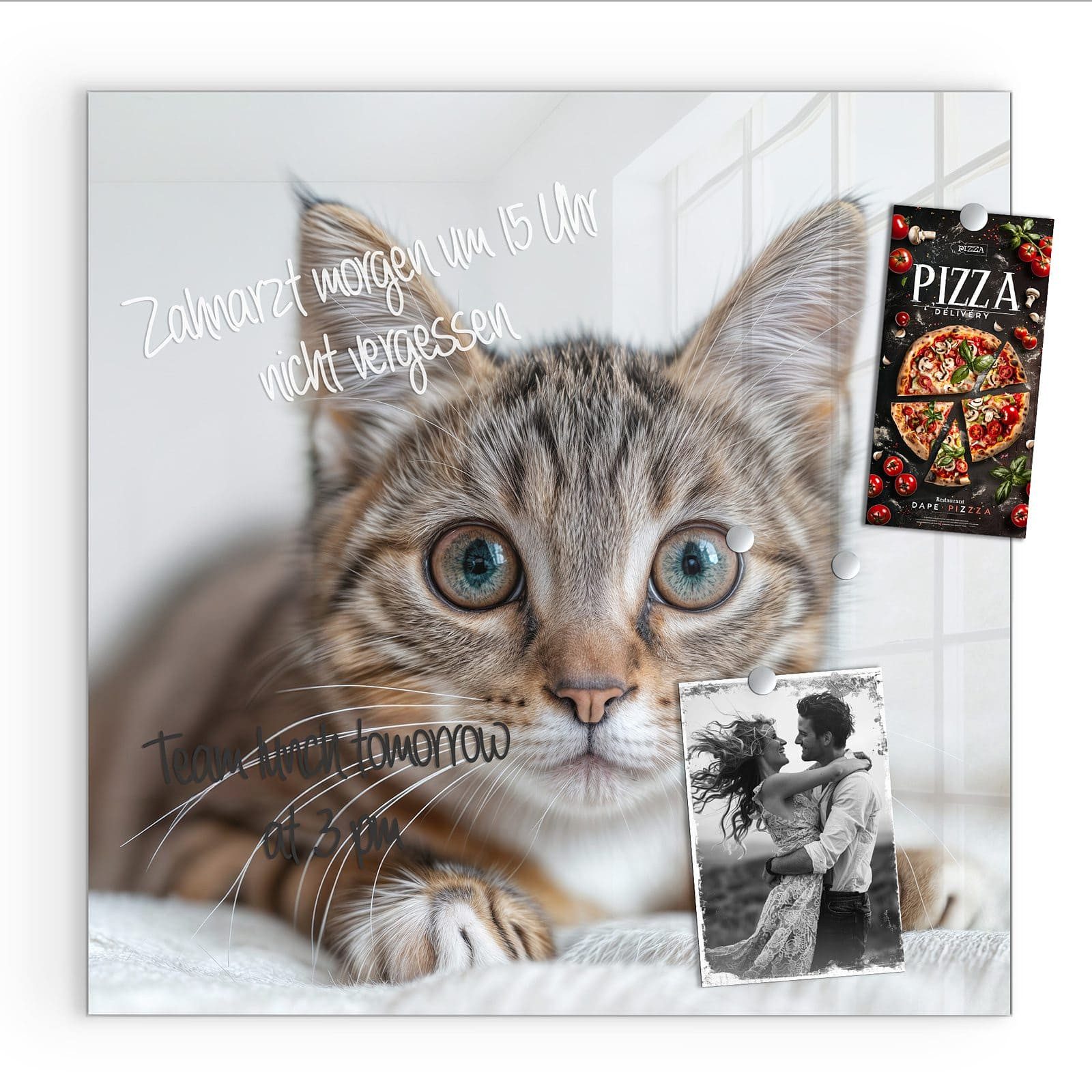 Magnettafel Glas Süße Kleine Katze Pinnwand Whiteboard beschreibbar