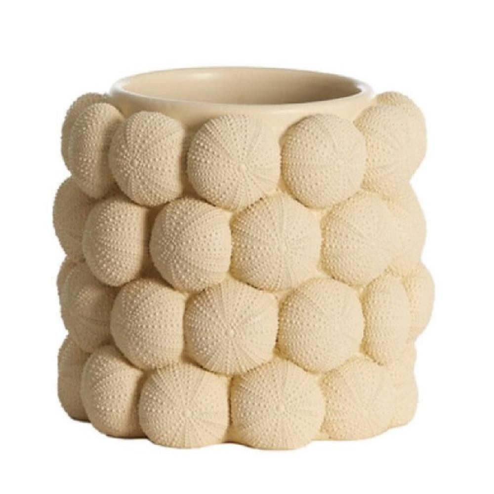 Light & Living Dekovase Vase mit Seeigeln Sea Urchin Cream (18cm)
