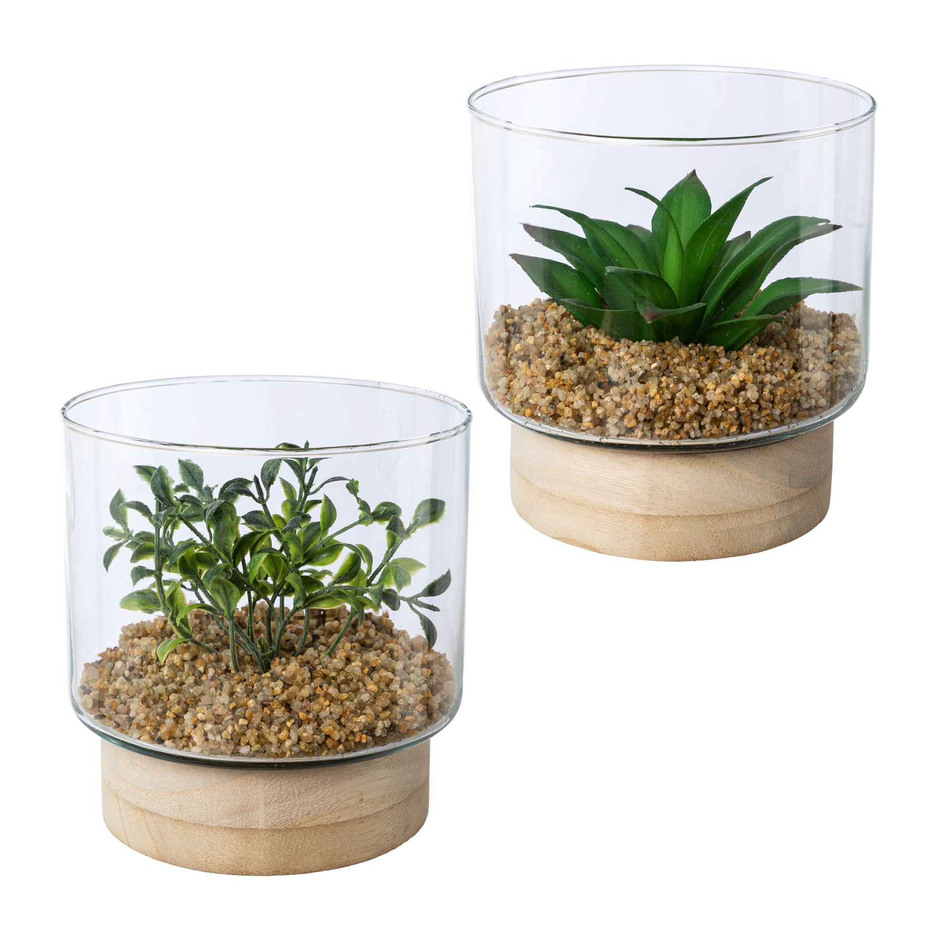 Kunstpflanze Sukkulenten im Glasgefäß, Creativ green, Höhe 12,5 cm, mit 2 verschiedenen Sukkulenten