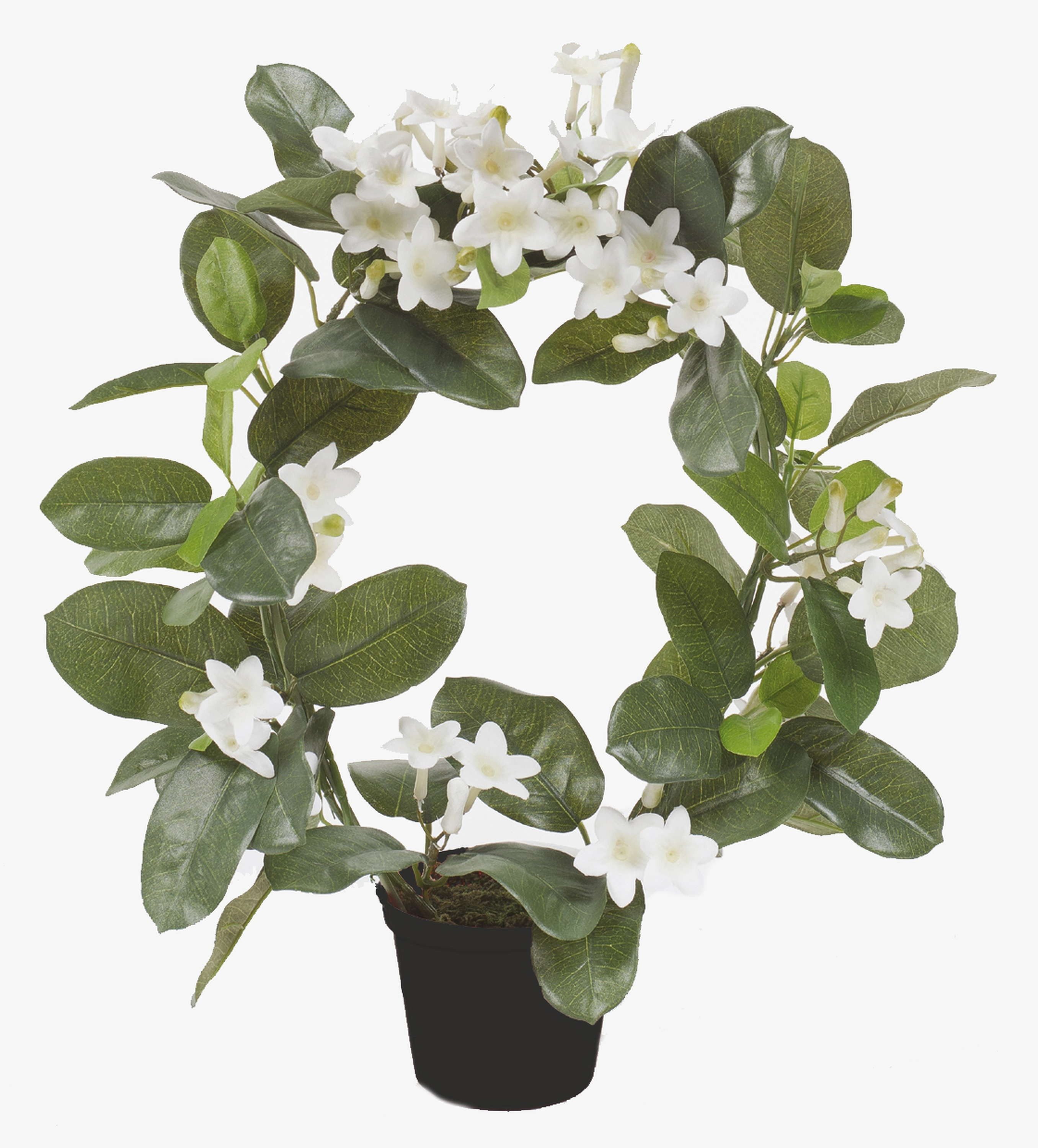 Kunstblume Kranzschlinge Altay, weiß, 40cm Kranzschlinge, artplants, Höhe 40.0 cm