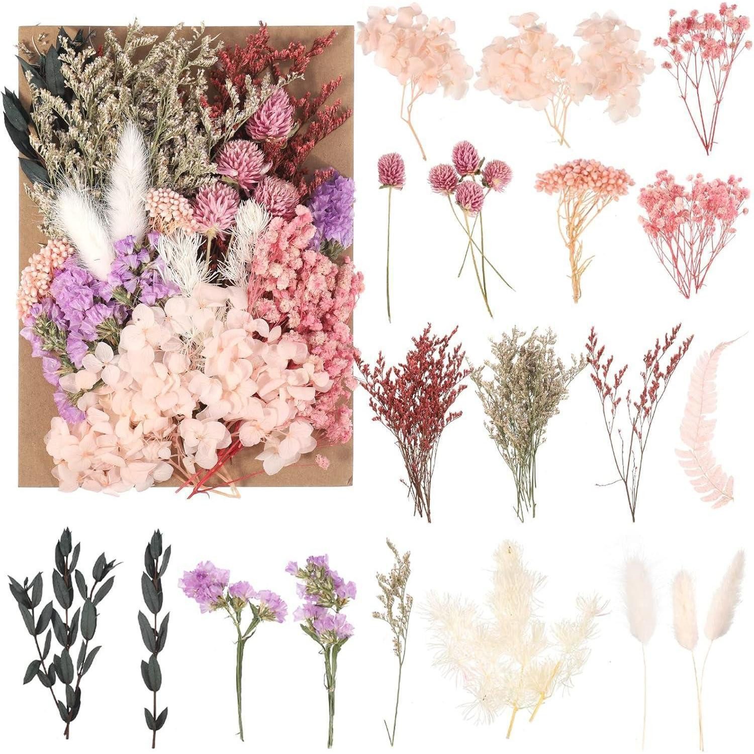 Trockenblume Getrocknete Blumen gemischt für DIY-Projekte & Bastelarbeiten, LuxusKollektion