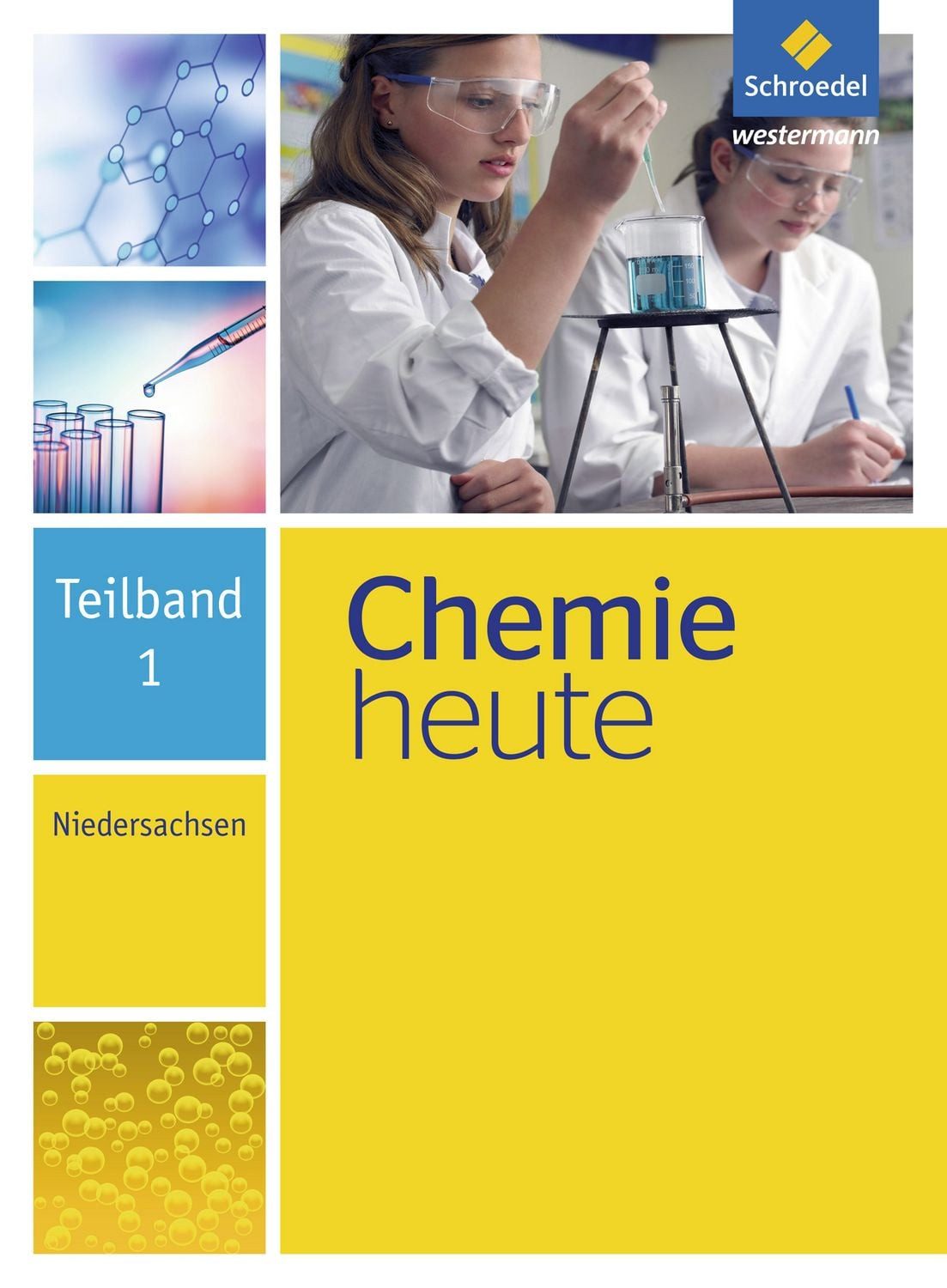 Chemie heute SI - Ausgabe 2013 für Niedersachsen / diverse