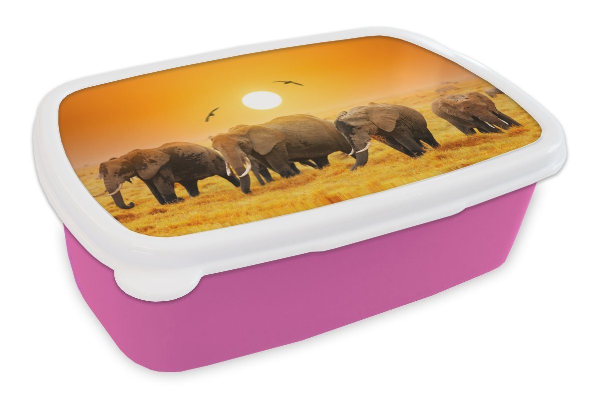 MuchoWow Lunchbox Elefant - Vogel - Orange, Kunststoff, (2-tlg), Brotbox für Erwachsene, Brotdose Kinder, Snackbox, Mädchen, Kunststoff rosa