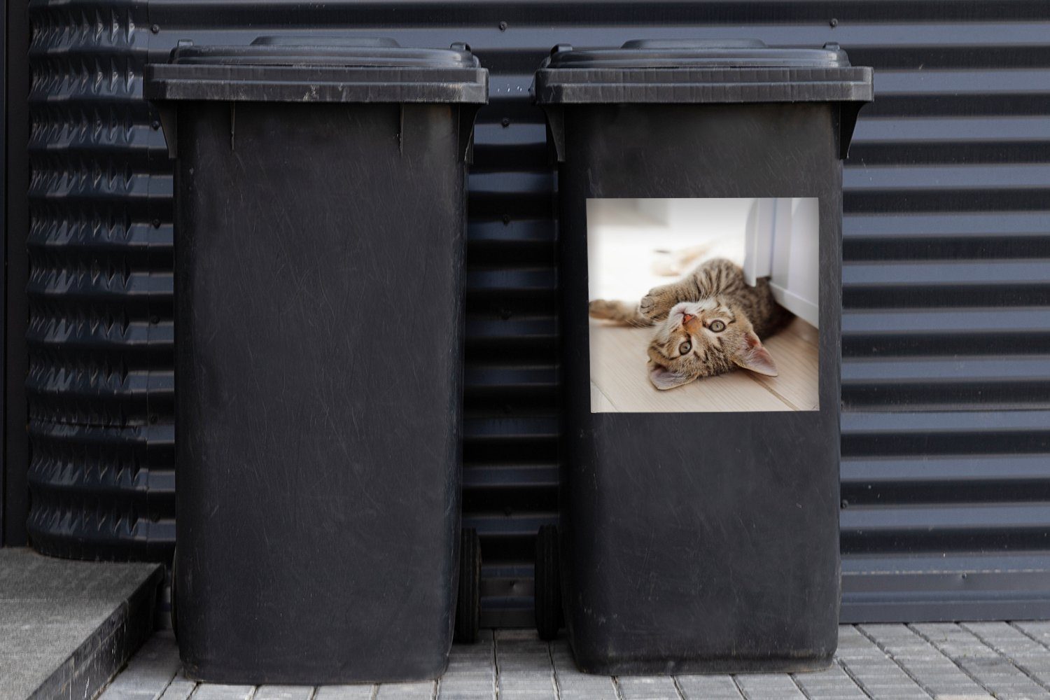 Abfalbehälter - Mülleimer-aufkleber, - Sonne Kätzchen (1 Mülltonne, Braun Kind Container, Jungen Kinder MuchoWow - Mädchen - St), Sticker, - - Wandsticker