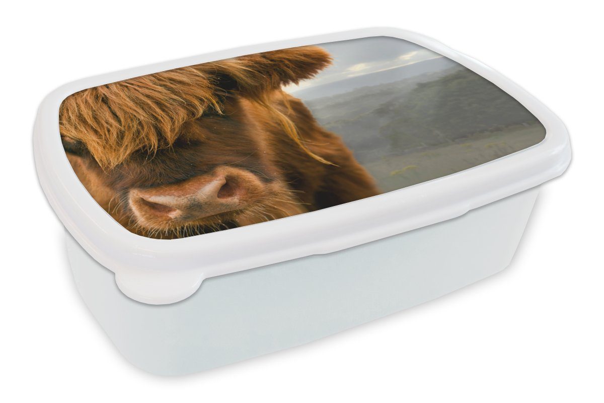 MuchoWow Lunchbox Schottischer Highlander - Orange - Nase, Kunststoff, (2-tlg), Brotbox für Kinder und Erwachsene, Brotdose, für Jungs und Mädchen weiß | Lunchboxen