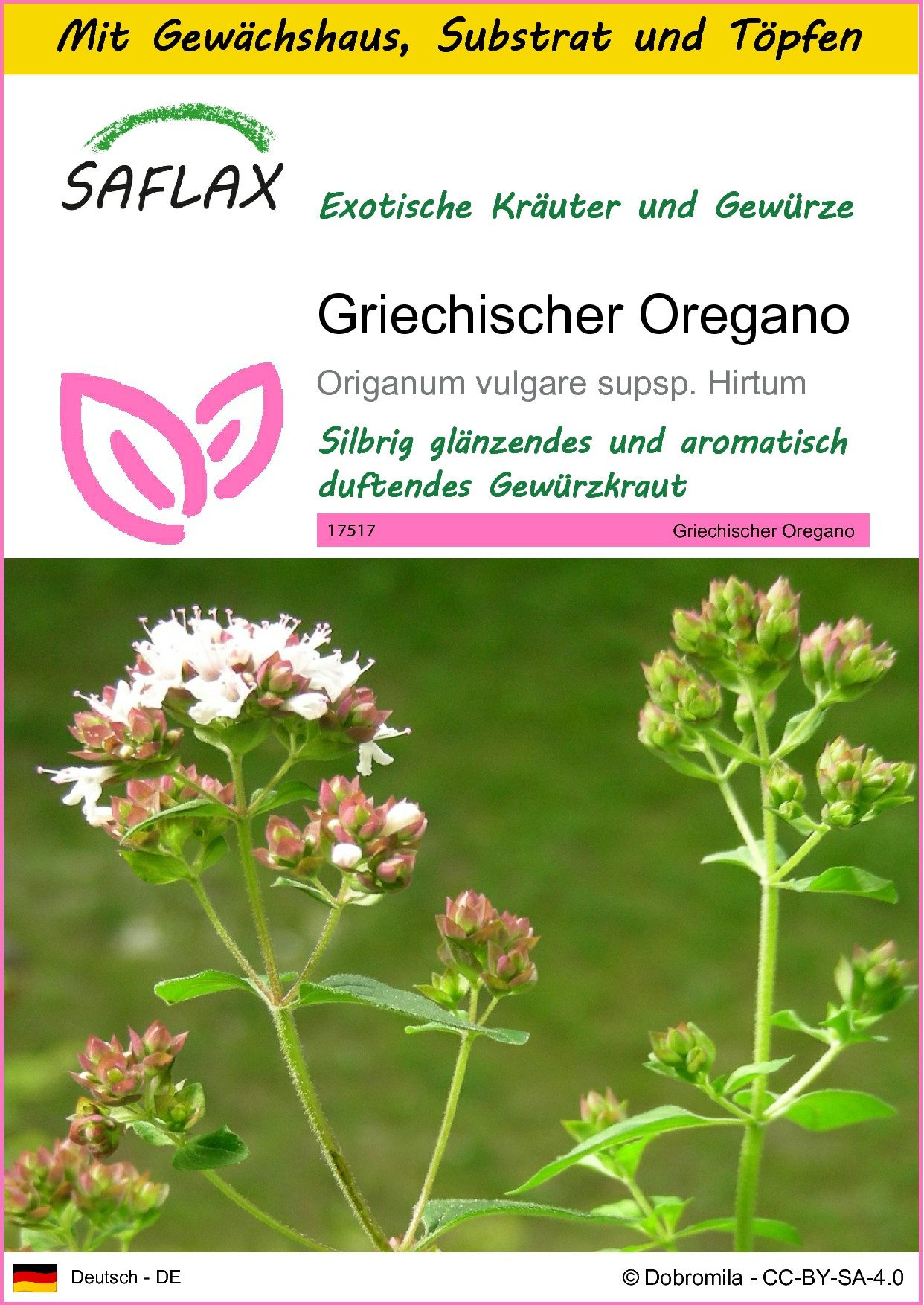 SAFLAX Kräutersamen SAFLAX - Anzuchtset - Griechischer Oregano