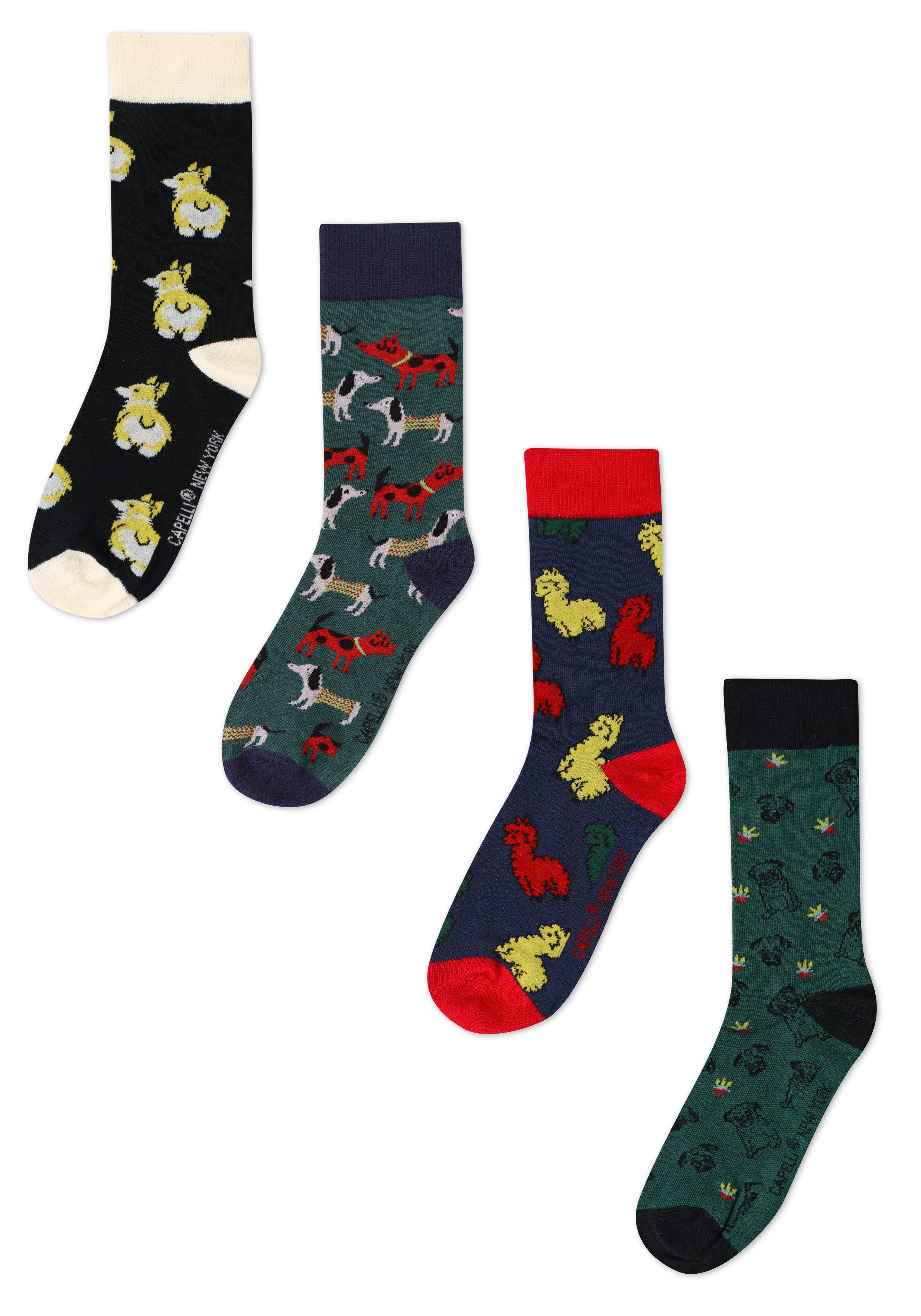 Capelli New York Socken (4-Paar) buntes günstig online kaufen
