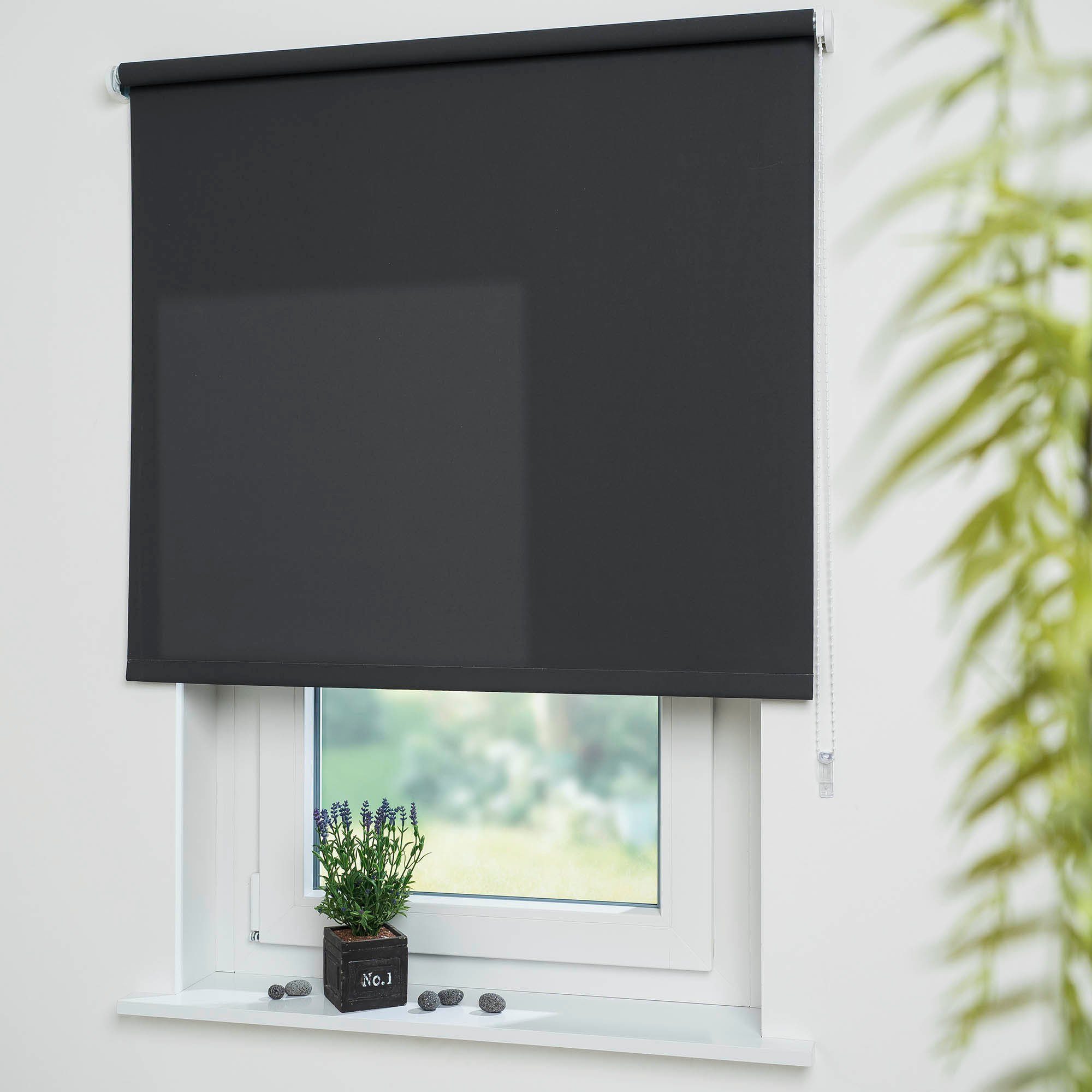 Seitenzugrollo Uni, Liedeco, Lichtschutz, mit Bohren, günstig online kaufen