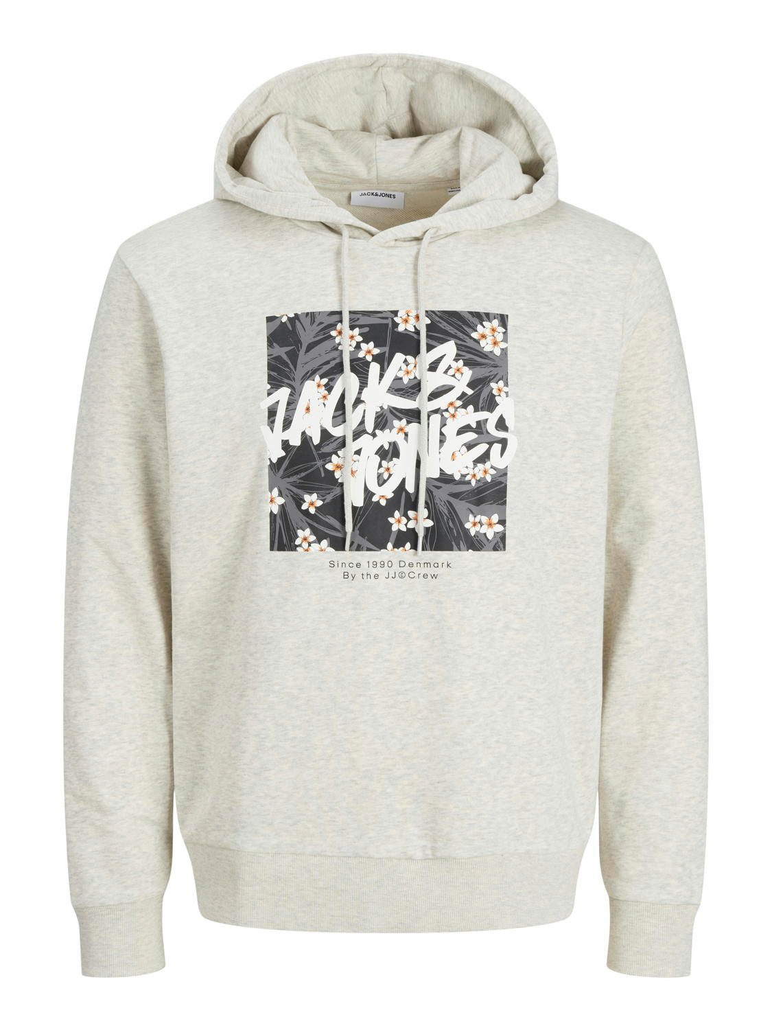 Jack & Jones Kapuzenpullover Jack & Jones Herren JjHawaii Shape Sweat Hood günstig online kaufen