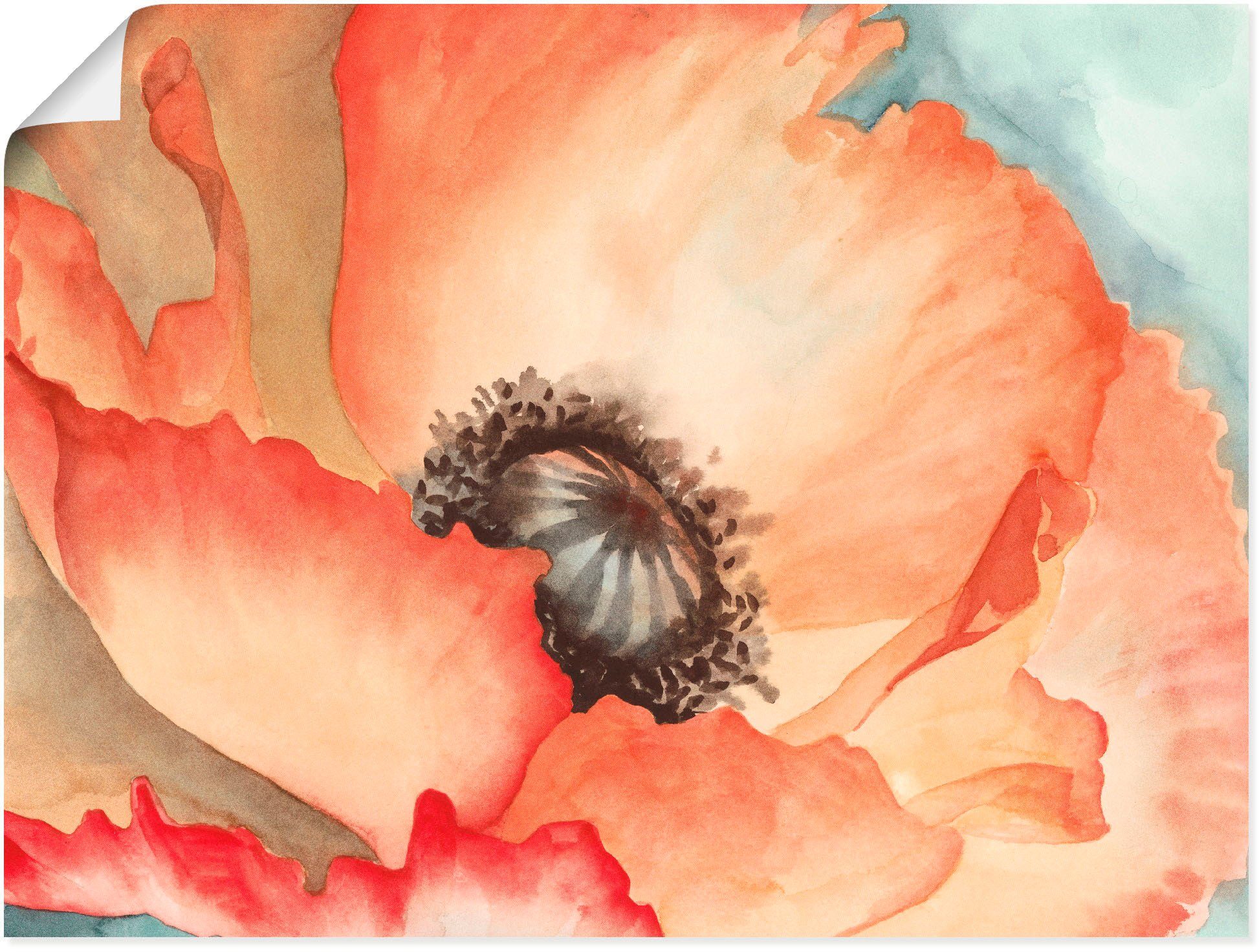 Größen II, in versch. St), Alubild, Wandaufkleber Artland (1 Wasserfarben als Leinwandbild, Wandbild Blumen Mohn Poster oder