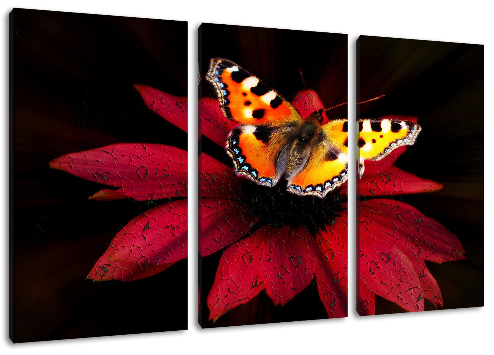 Pixxprint Leinwandbild Schmetterling auf roter Blüte, Schmetterling auf roter Blüte 3Teiler (120x80cm) (1 St), Leinwandbild fertig bespannt, inkl. Zackenaufhänger
