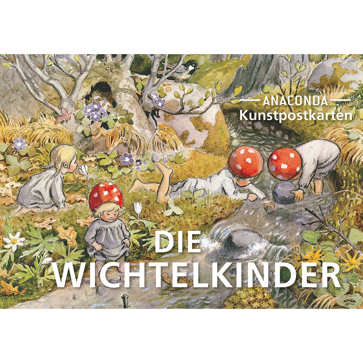 Anaconda Verlag Postkarten-Set Wichtelkinder: 18 Kunstpostkarten (Anaconda Postkart
