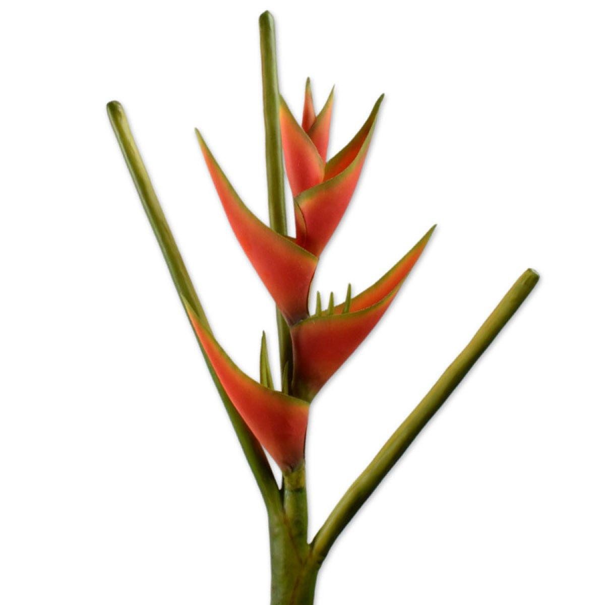 Künstliche Zimmerpflanze Seidenblume Heliconia Hummerklaue (105cm), SILK-KA