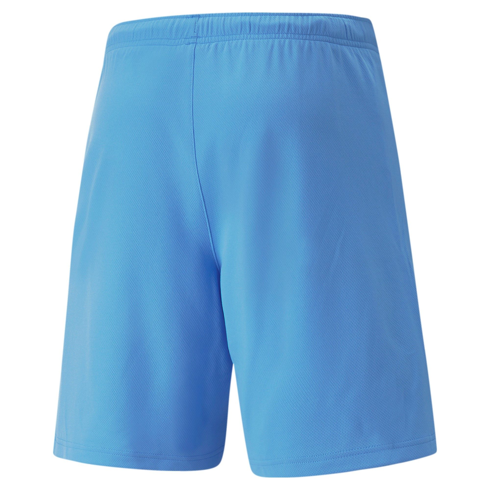 PUMA Trainingsshorts Puma Herren Shorts teamRISE günstig online kaufen