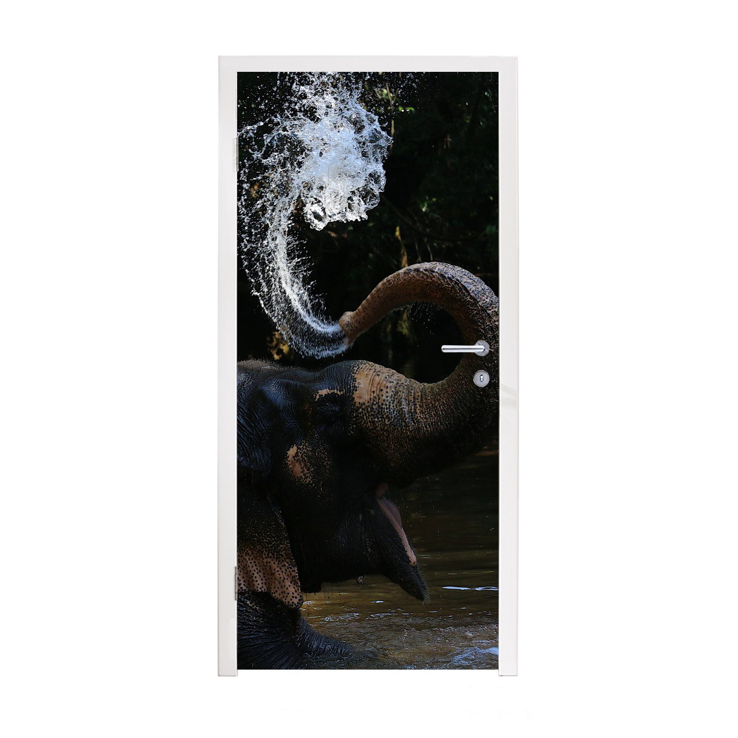 MuchoWow Türtapete Elefant - Wasser - Rüssel - Tiere - Natur, Matt, bedruckt, (1 St), Fototapete für Tür, Türaufkleber, 75x205 cm