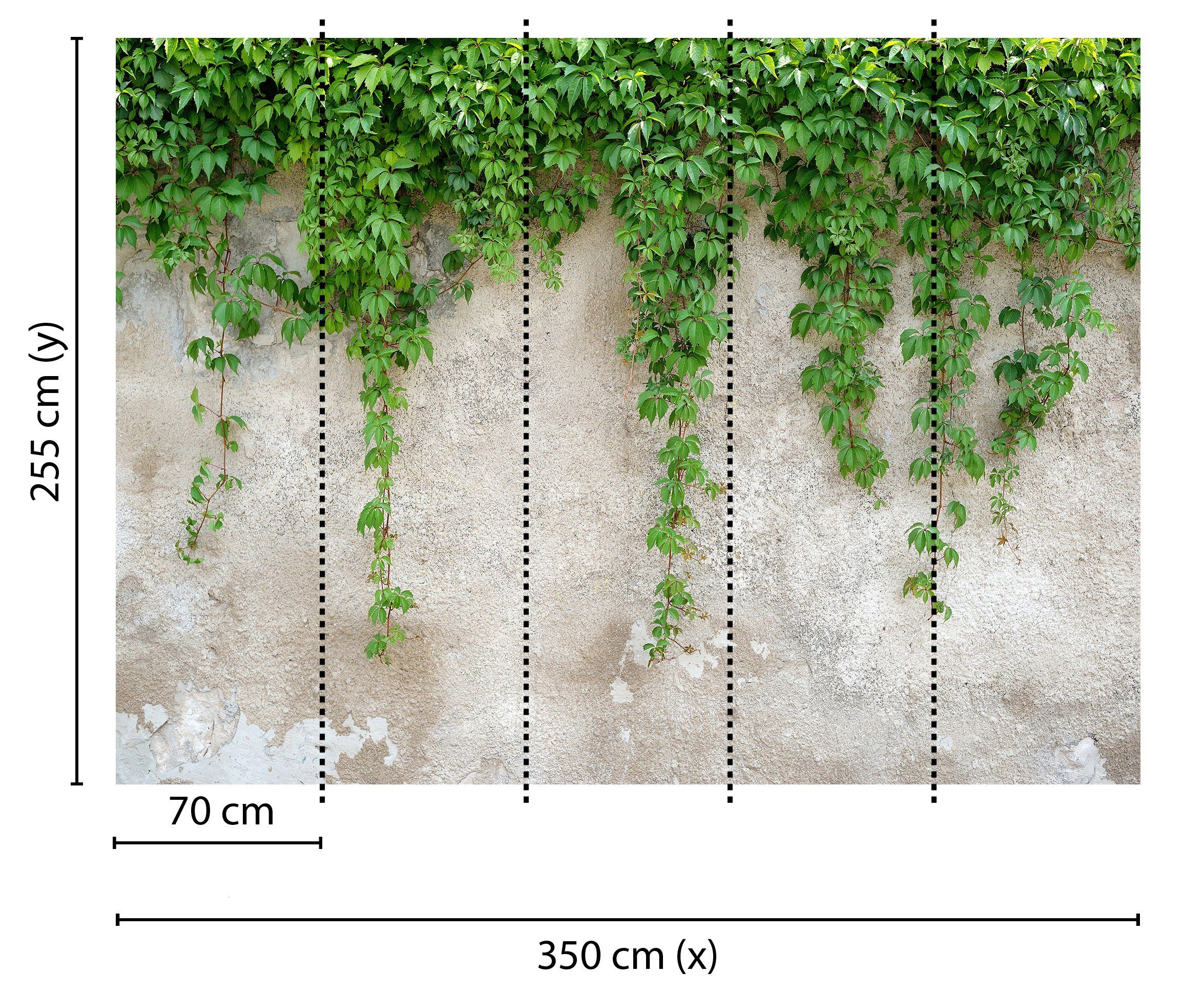 glatt, (5 Leaves, walls Vlies, Decke Wand, Climbing Fototapete Schräge, St), Designwalls living