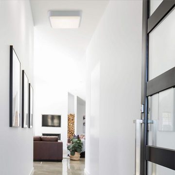 Paul Neuhaus Smarte LED-Leuchte LED Außenleuchte Smart Home Q - LENNY RGB+W, Smart Home, RGB-Farbwechsel, Dimmfunktion, Memoryfunktion, mit Leuchtmittel, Fassaden Wand- Deckenleuchte, dimmbar Farbwechsel