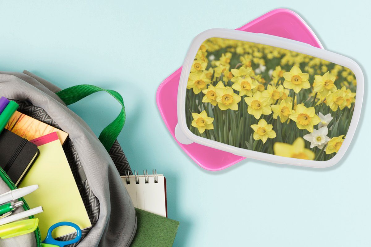 MuchoWow Lunchbox Blumen - Gelb rosa Kinder, Narzissen, Snackbox, - (2-tlg), Brotbox Brotdose Erwachsene, für Kunststoff Mädchen, Kunststoff
