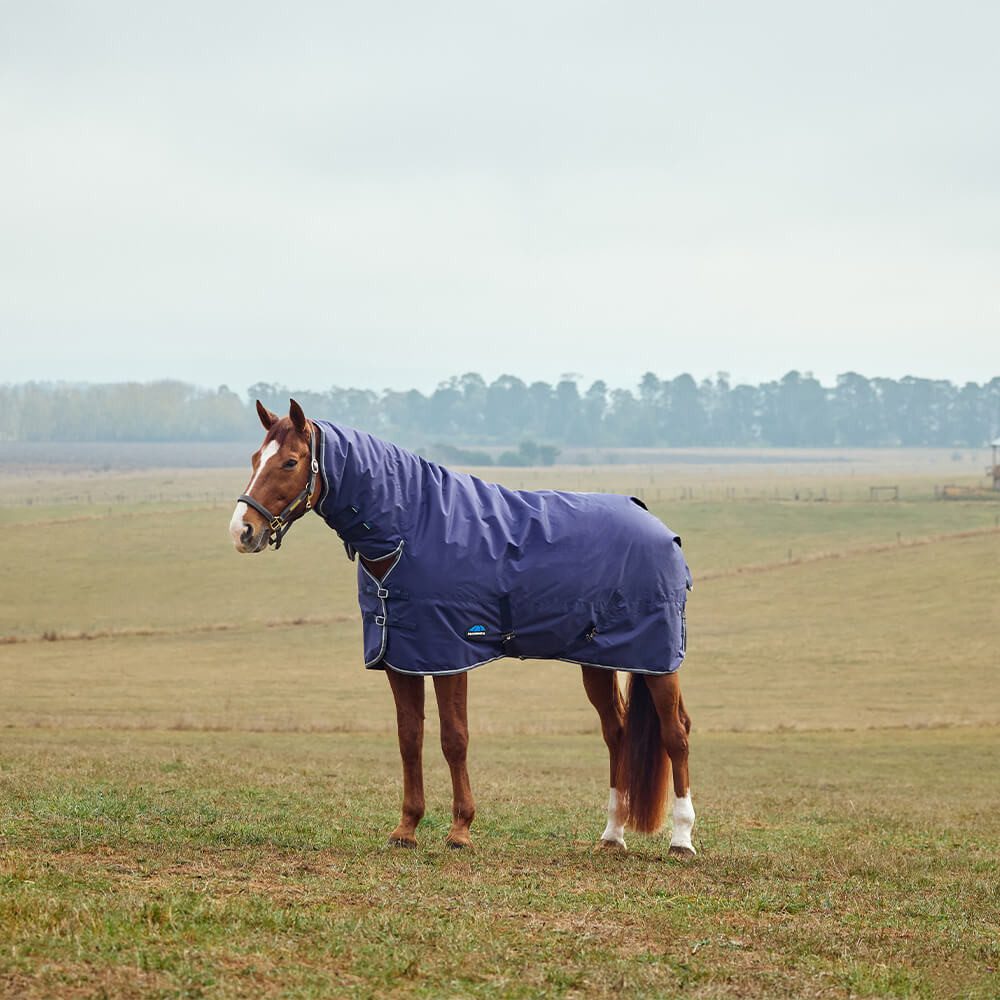Pferde-Thermodecke Weatherbeeta Comfitec Tyro Turnout Combo Neck 360g