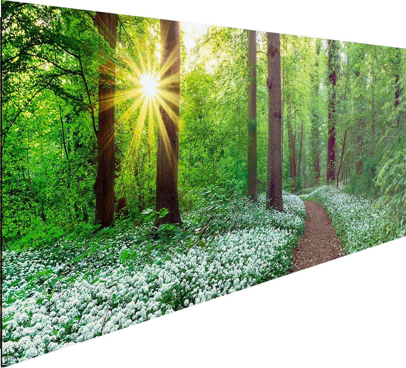 Reinders! Holzbild »Deco Panel 52x156 Spring Forest«-kaufen