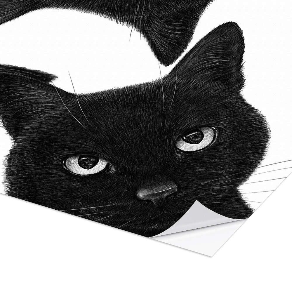 Posterlounge Wandbild Drei schwarze Katzen im Kreis, Valeriya Korenkova, erhältlich als Poster, Leinwandbild, Wandsticker oder Acrylglasbild