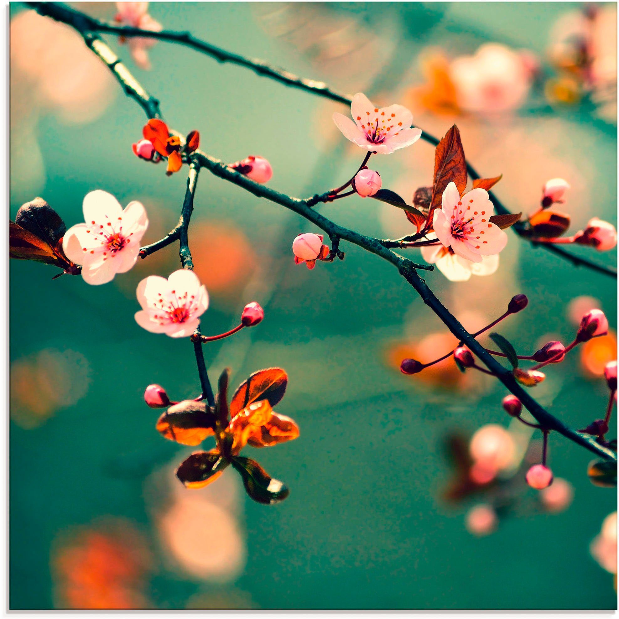 Sakura Japanische in Blumen verschiedenen (1 St), Glasbild Kirsch Größen Blumen, Artland